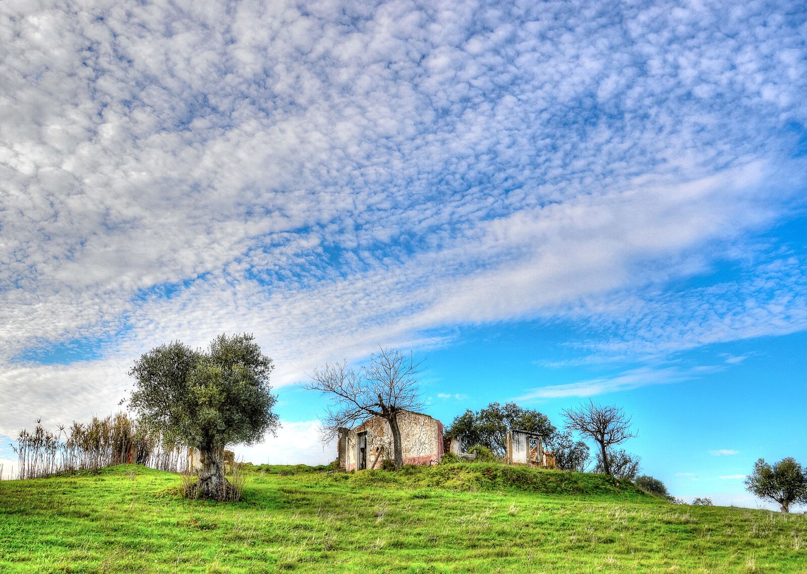 Nikon D3200 sample photo. Rural, desolation, ruin photography