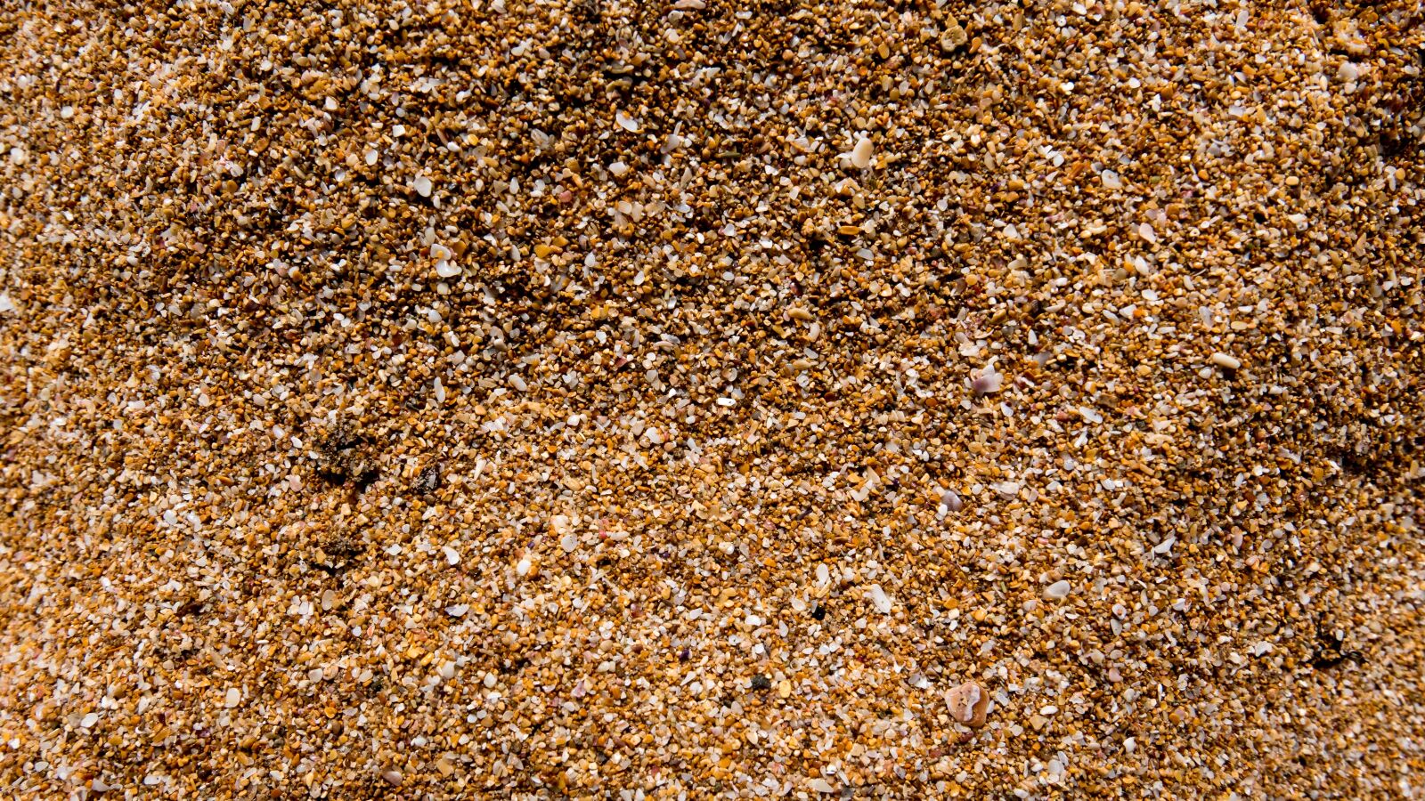 Panasonic Lumix DMC-LX100 sample photo. Sand, grains of sand photography