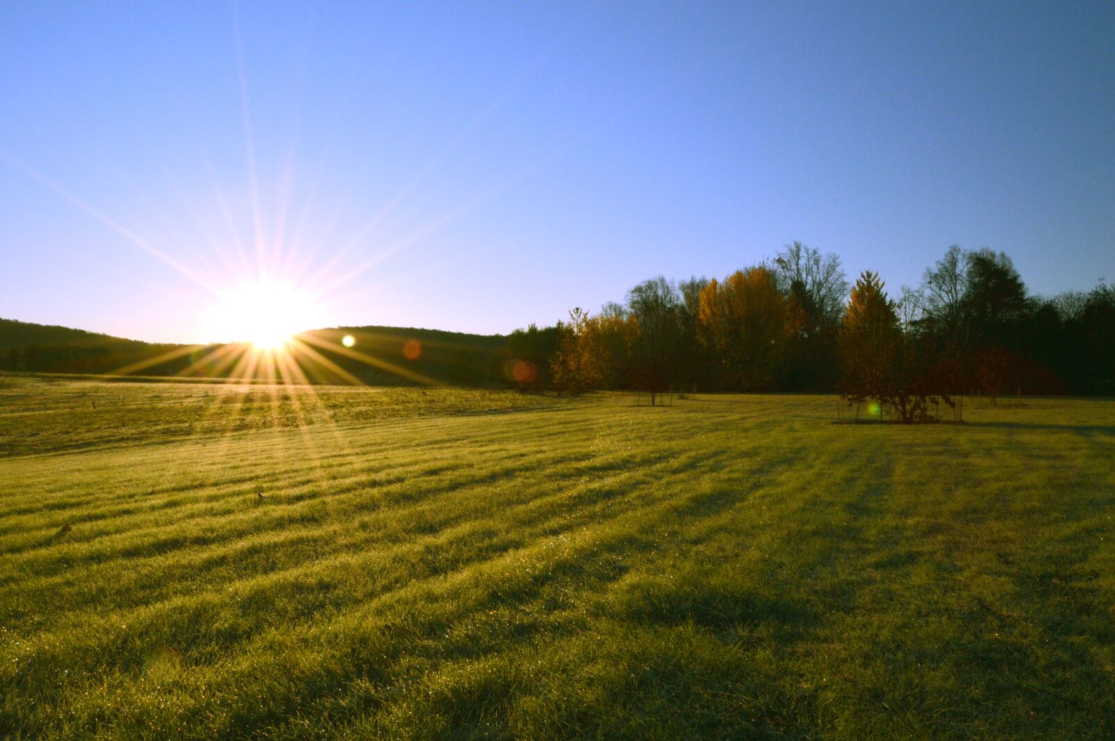 Nikon D3200 sample photo. Sunrise, field, tree photography