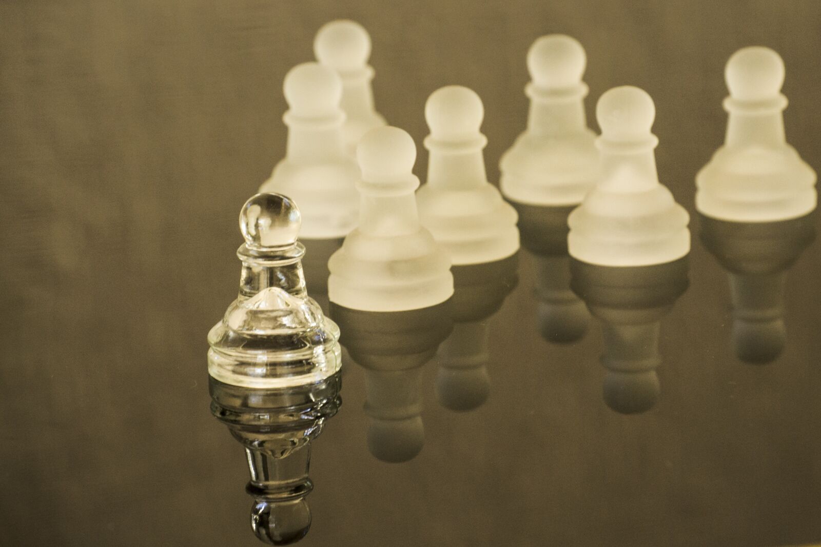 Nikon D3100 sample photo. Leadership, leader, chess photography