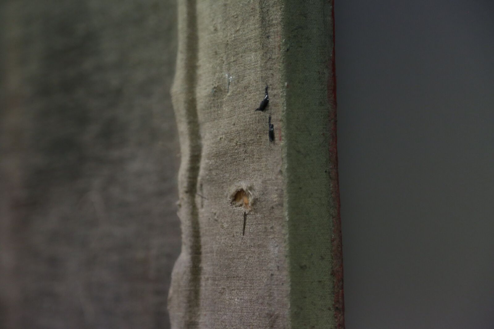 Canon EF 24-105mm F4L IS USM sample photo. Texture, canvas, frame photography