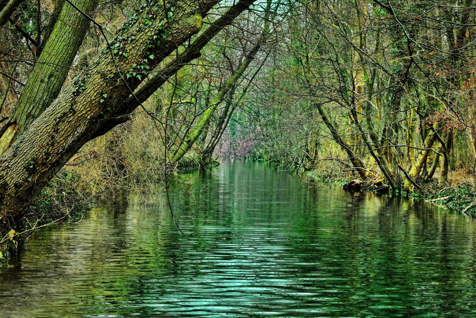 Sony Cyber-shot DSC-RX10 III sample photo. Nature, waters, river photography