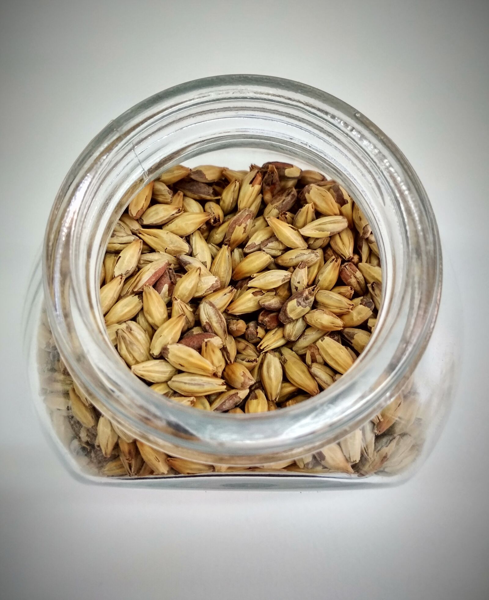 Xiaomi Redmi 4X sample photo. Cereal, malt, barley photography