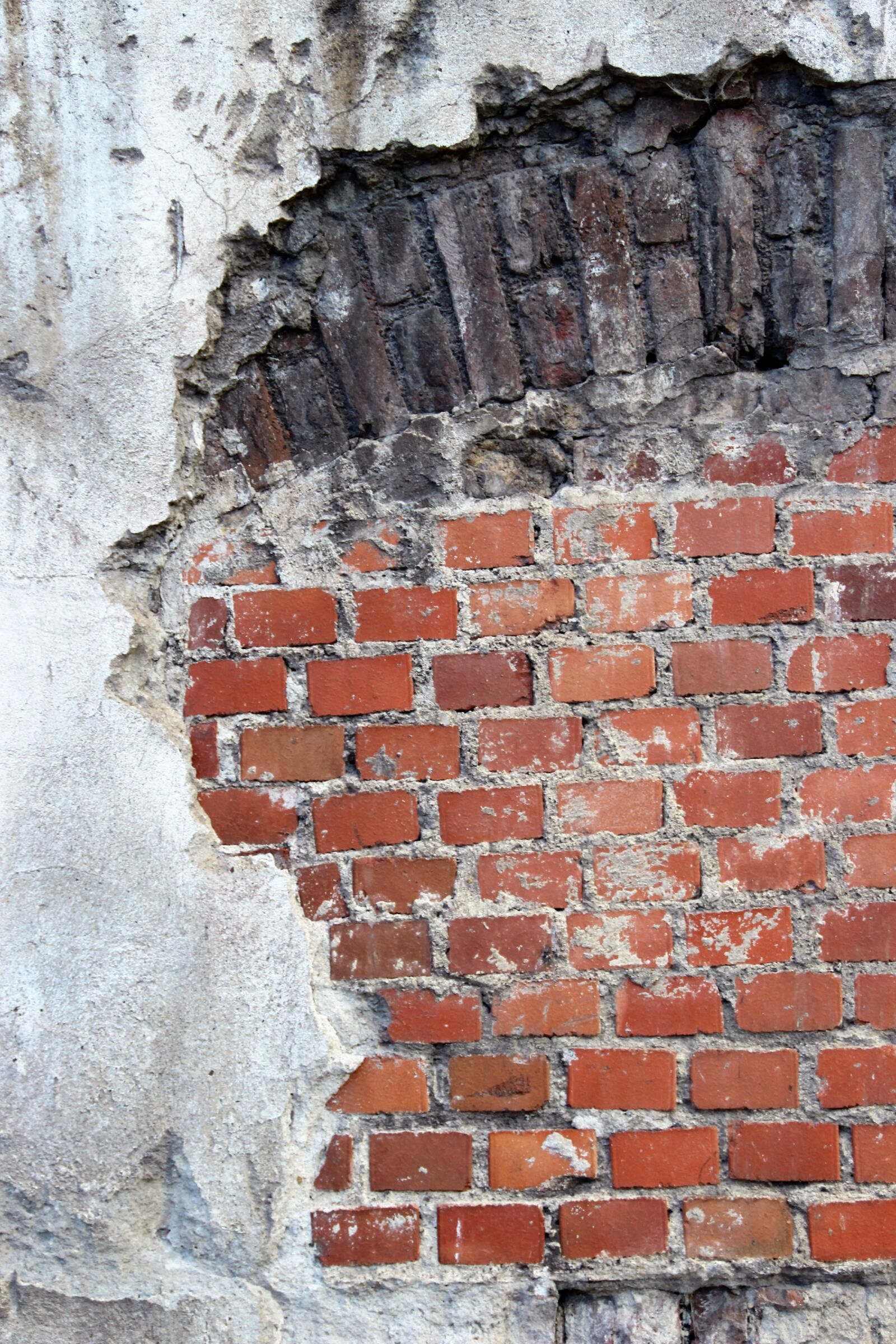 Canon EOS 600D (Rebel EOS T3i / EOS Kiss X5) sample photo. Background, texture, wall photography