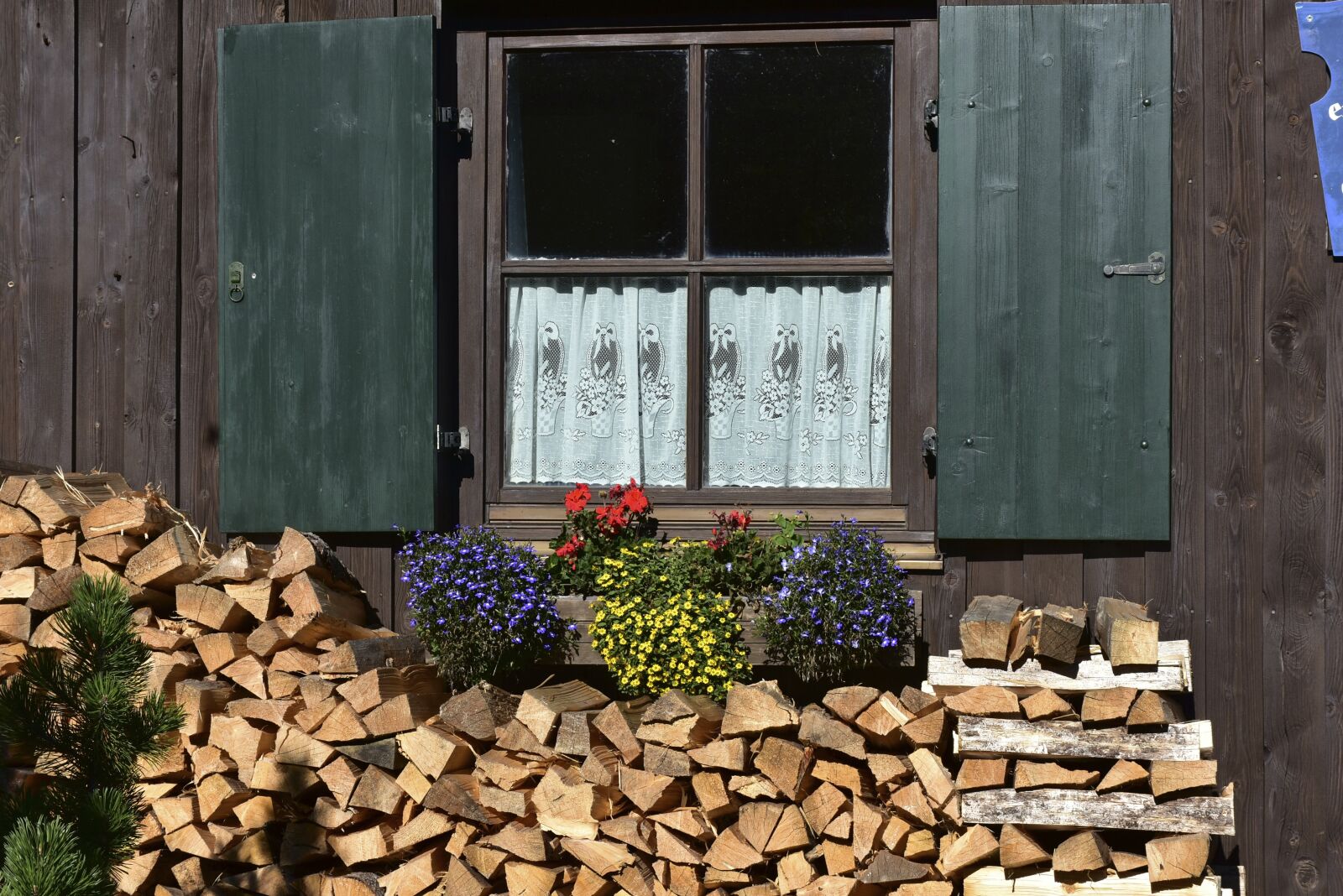 Nikon D7200 sample photo. Window, wood, flowers photography