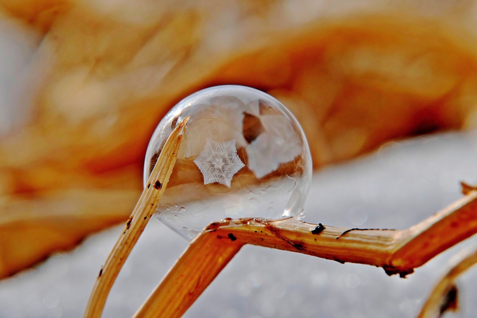 Panasonic Lumix DMC-FZ1000 sample photo. Soap bubble, frost, eiskristalle photography