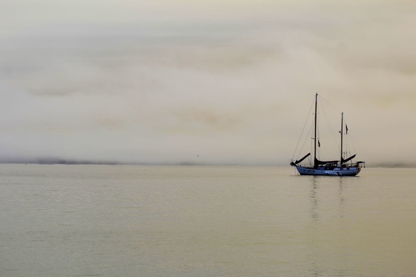 Canon EOS 1200D (EOS Rebel T5 / EOS Kiss X70 / EOS Hi) sample photo. Landscape, nature, foggy photography
