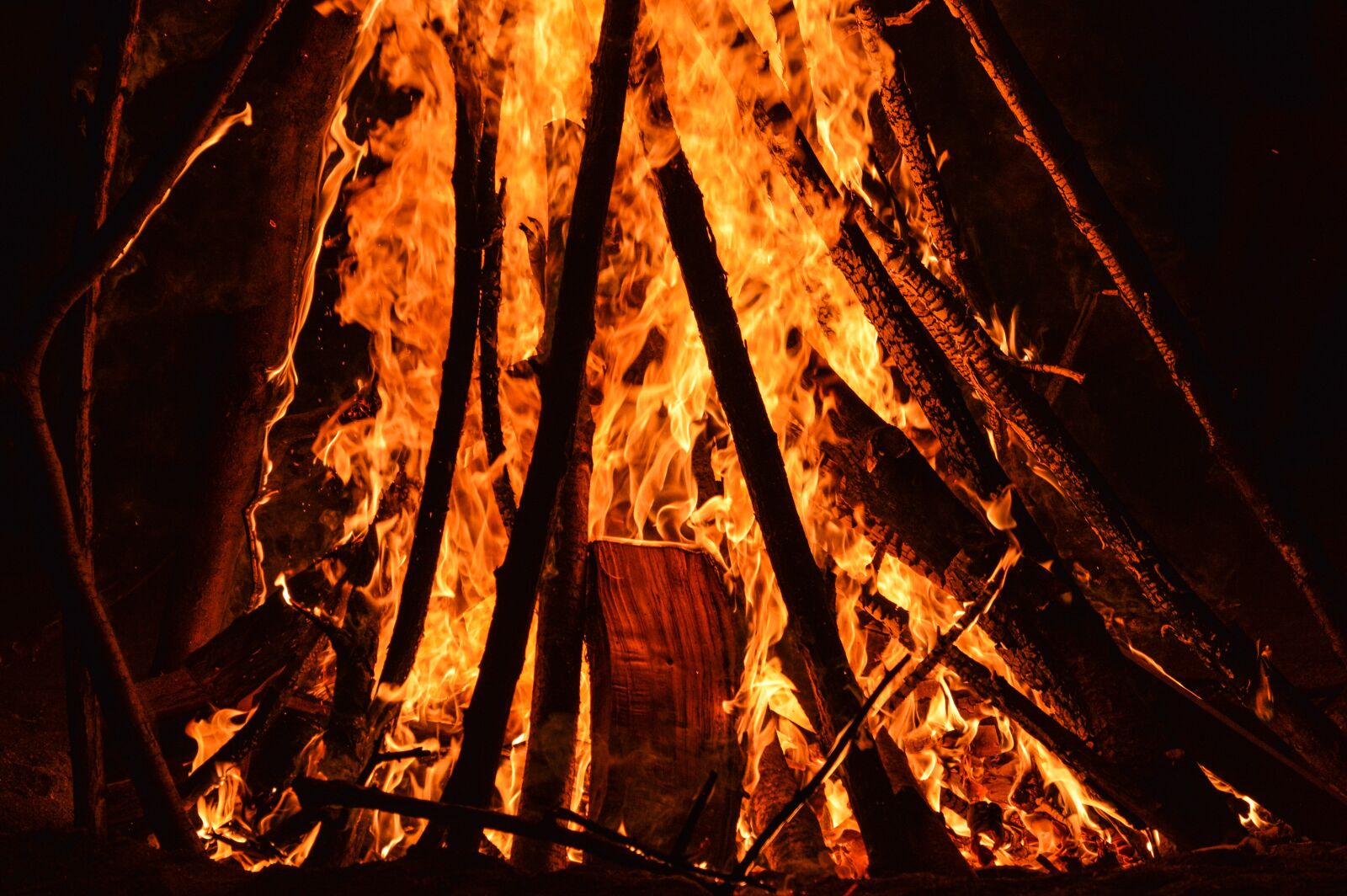 Nikon D3200 sample photo. Fire, wood, flame photography