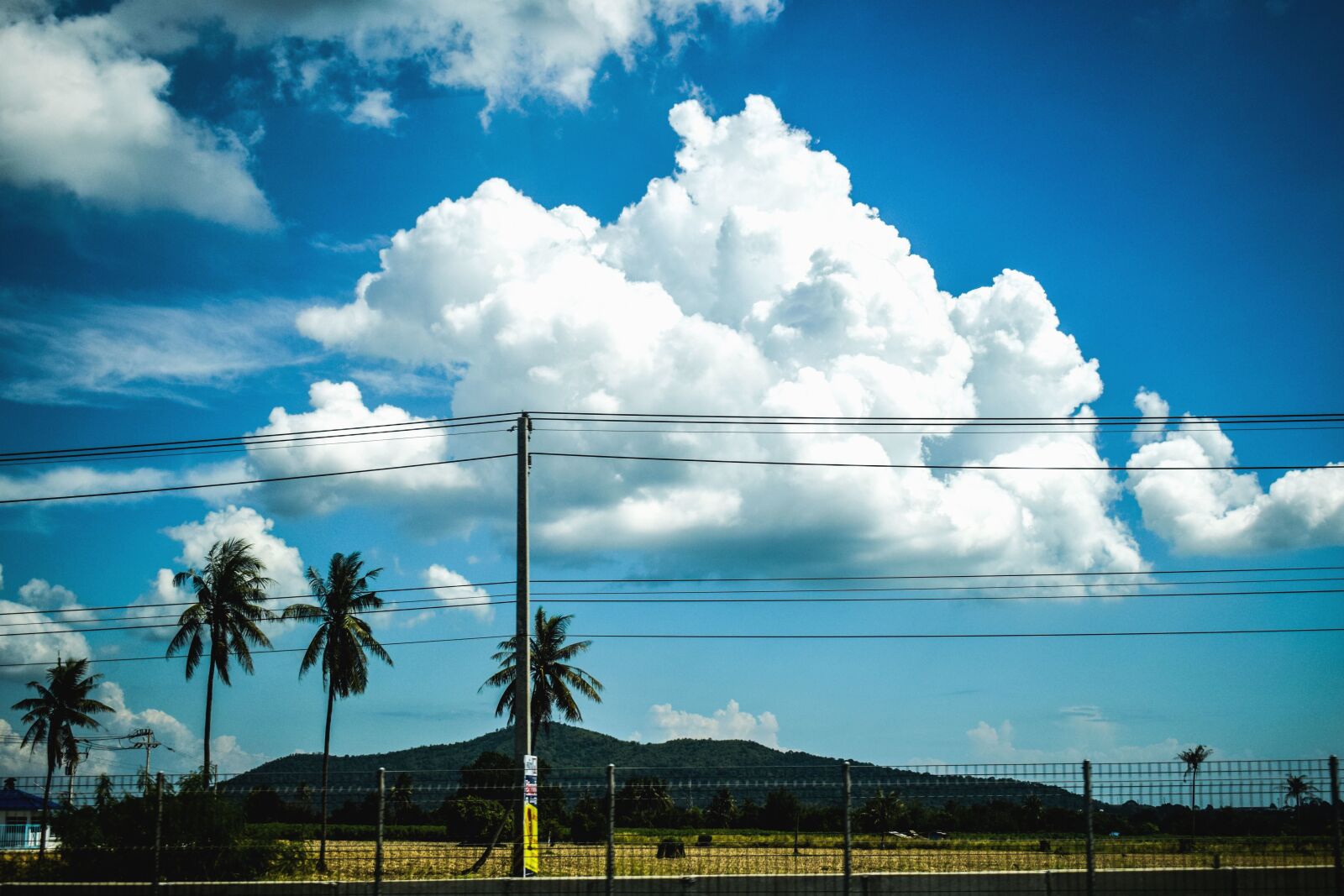 Nikon D3300 sample photo. Sky, cloud, palm, tree photography