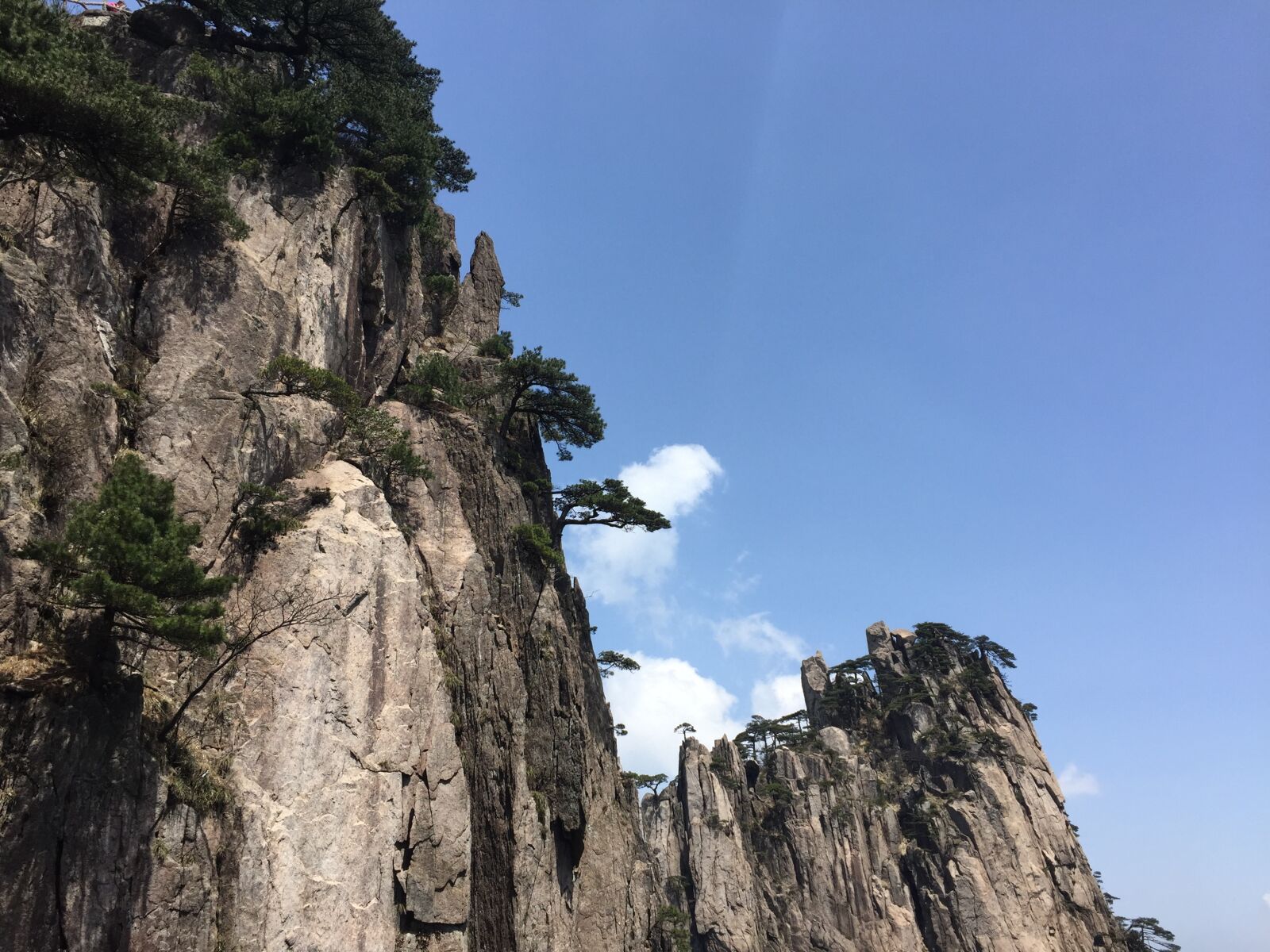 Apple iPhone 6 sample photo. Huangshan, pine, white cloud photography