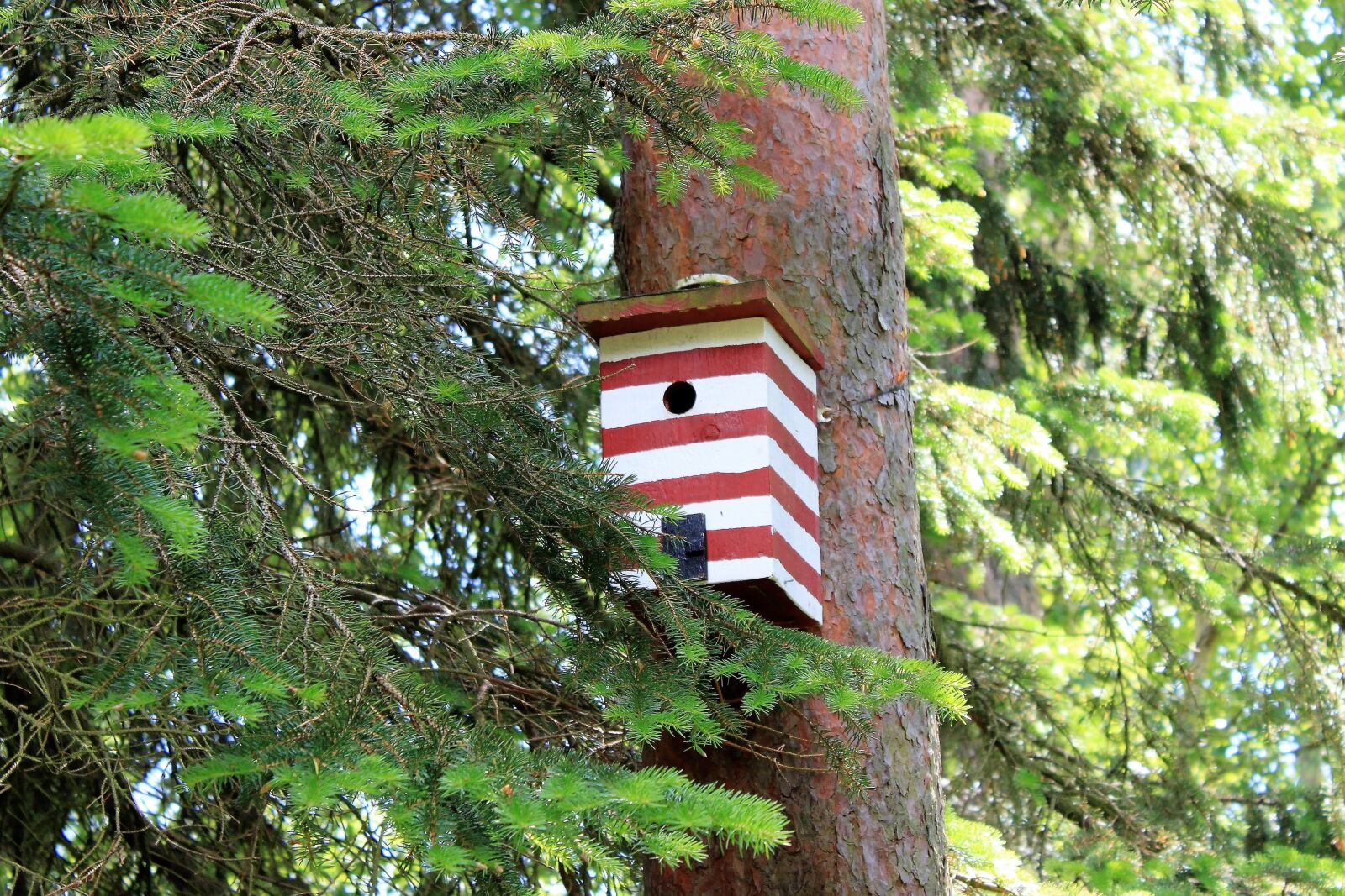 Canon EOS 500D (EOS Rebel T1i / EOS Kiss X3) sample photo. Birdhouse, box, nest photography