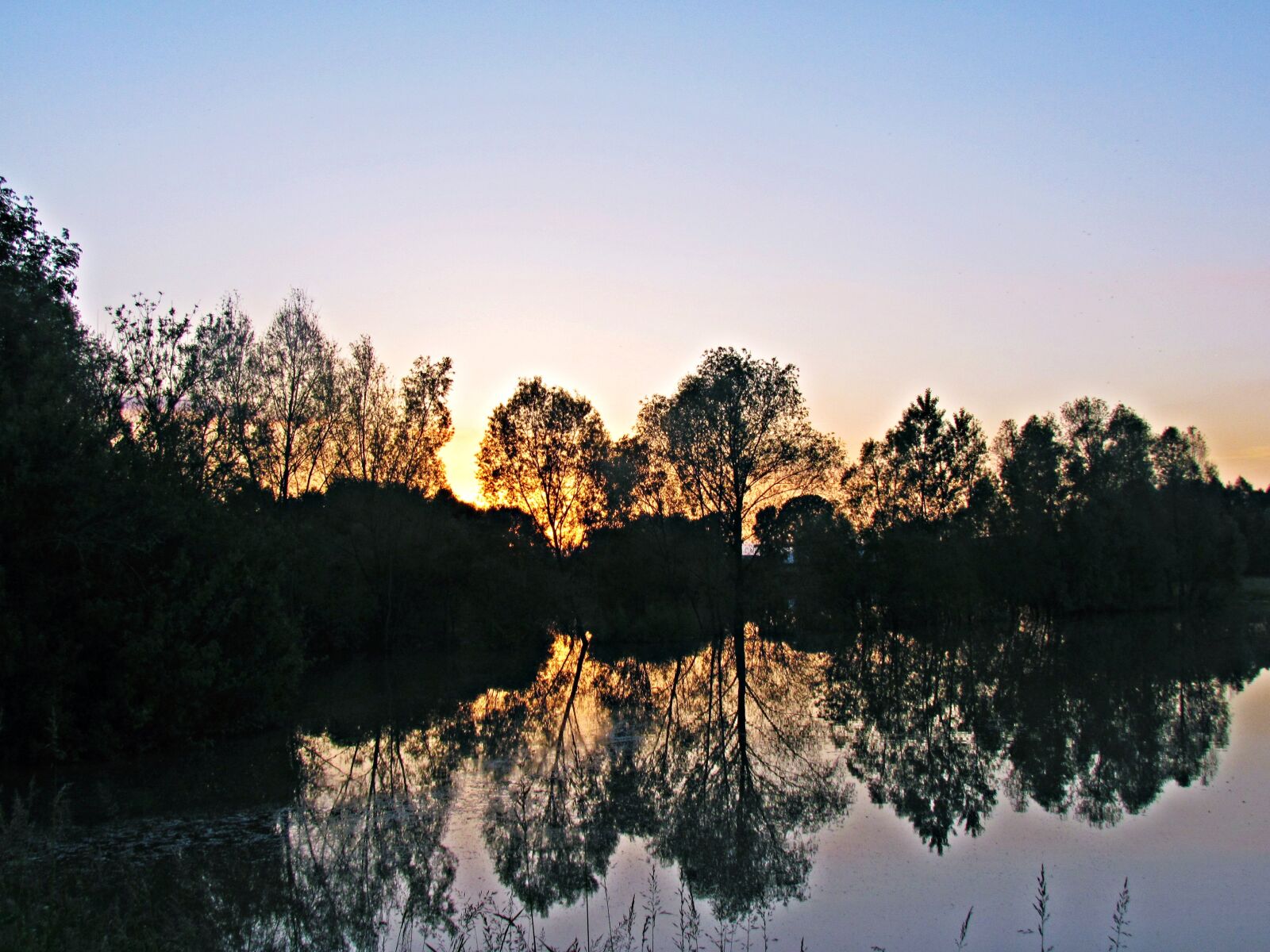Canon PowerShot SX30 IS sample photo. Water, tree, shadow photography