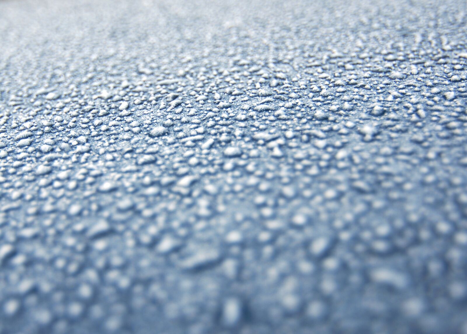 Nikon D200 sample photo. Nature, icing, ice photography