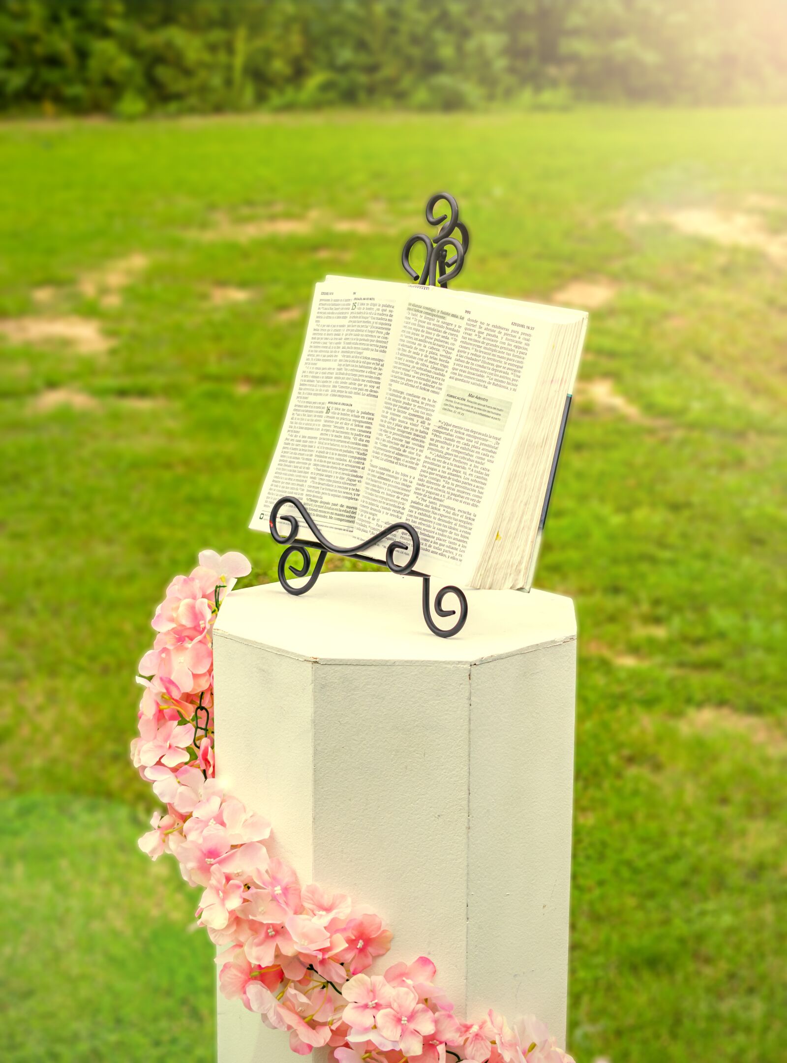 Nikon D3300 sample photo. Wedding, bible, marriage photography