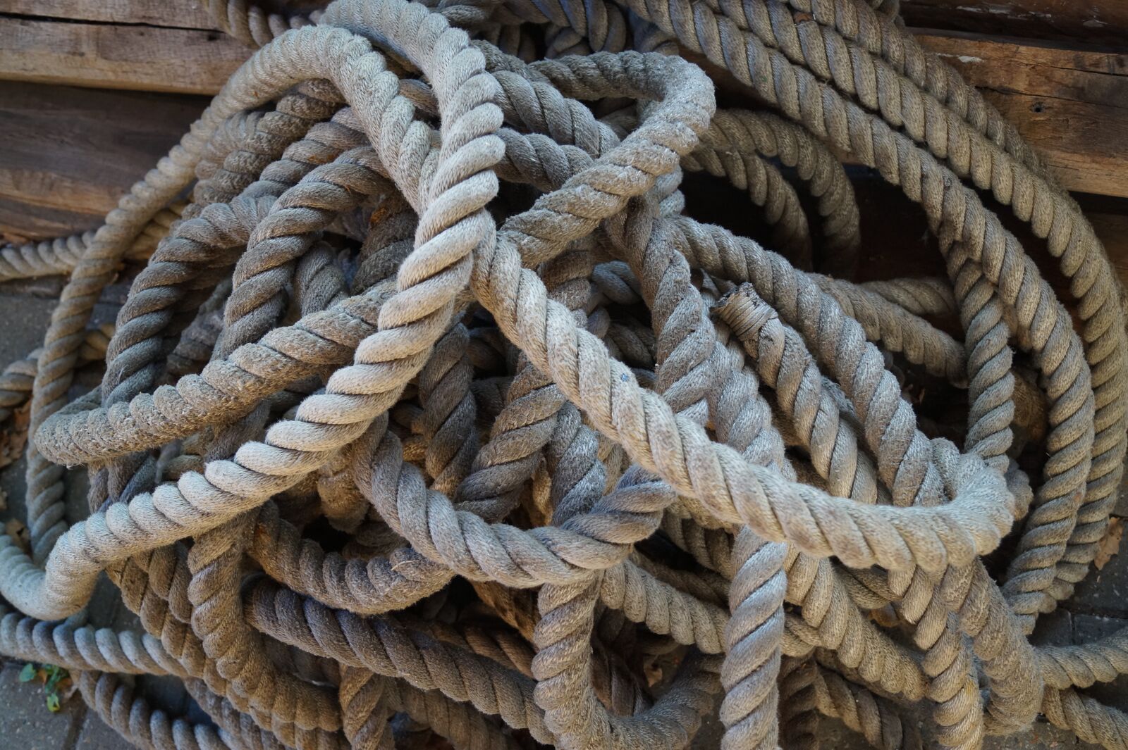 Sony DT 18-55mm F3.5-5.6 SAM II sample photo. Rope, dew, old photography