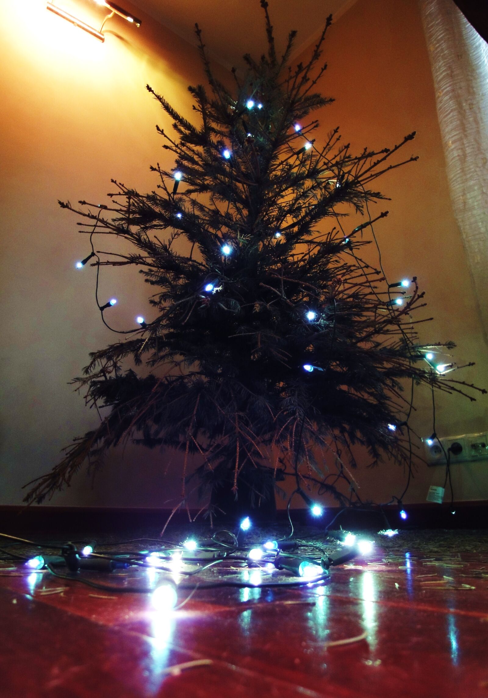 Sony Cyber-shot DSC-WX1 sample photo. Christmas, tree, lights, needle photography