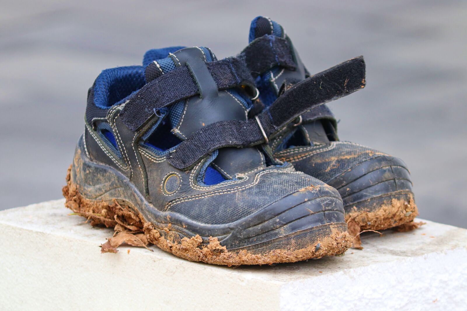 Canon EOS 200D (EOS Rebel SL2 / EOS Kiss X9) sample photo. Work shoes, shoes, footwear photography