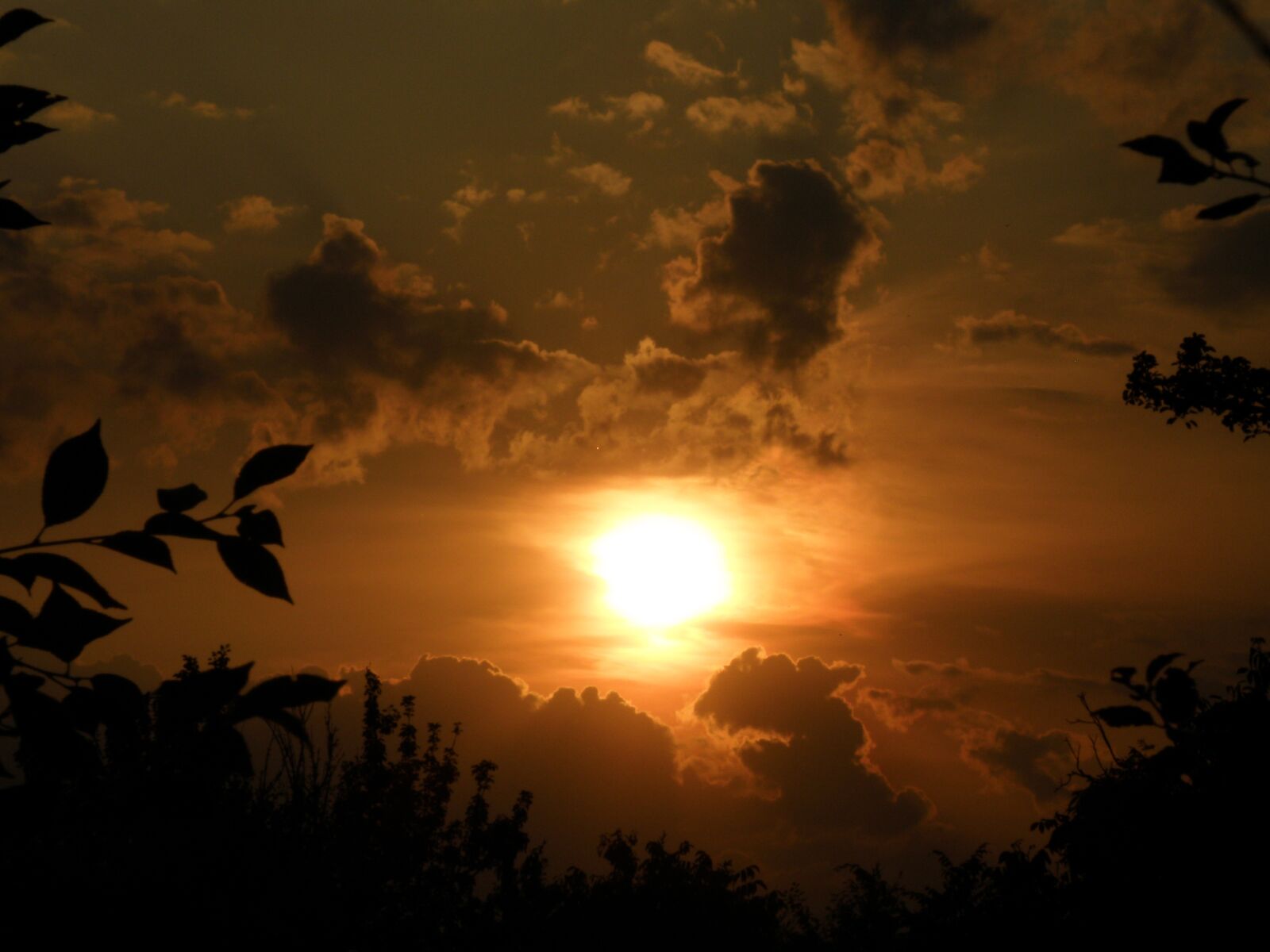 Olympus SP570UZ sample photo. Sunset, sky, evening photography