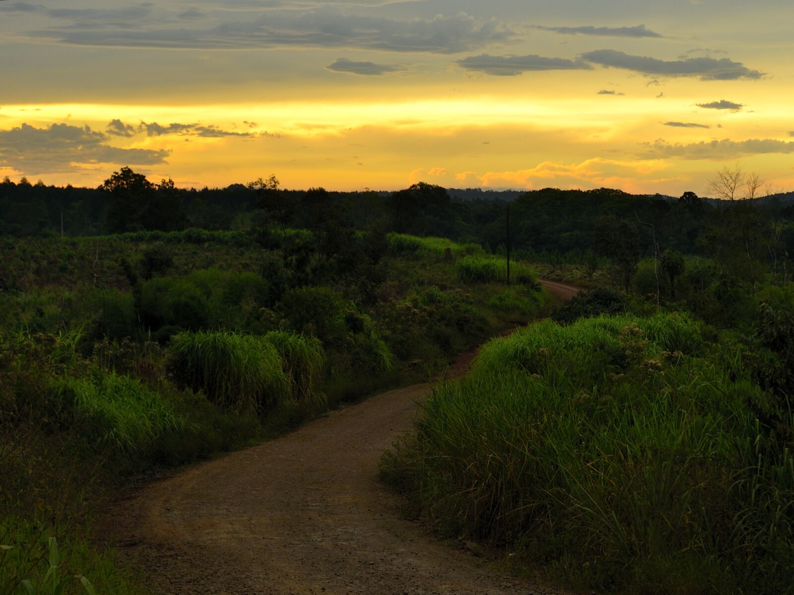 Nikon D5100 sample photo