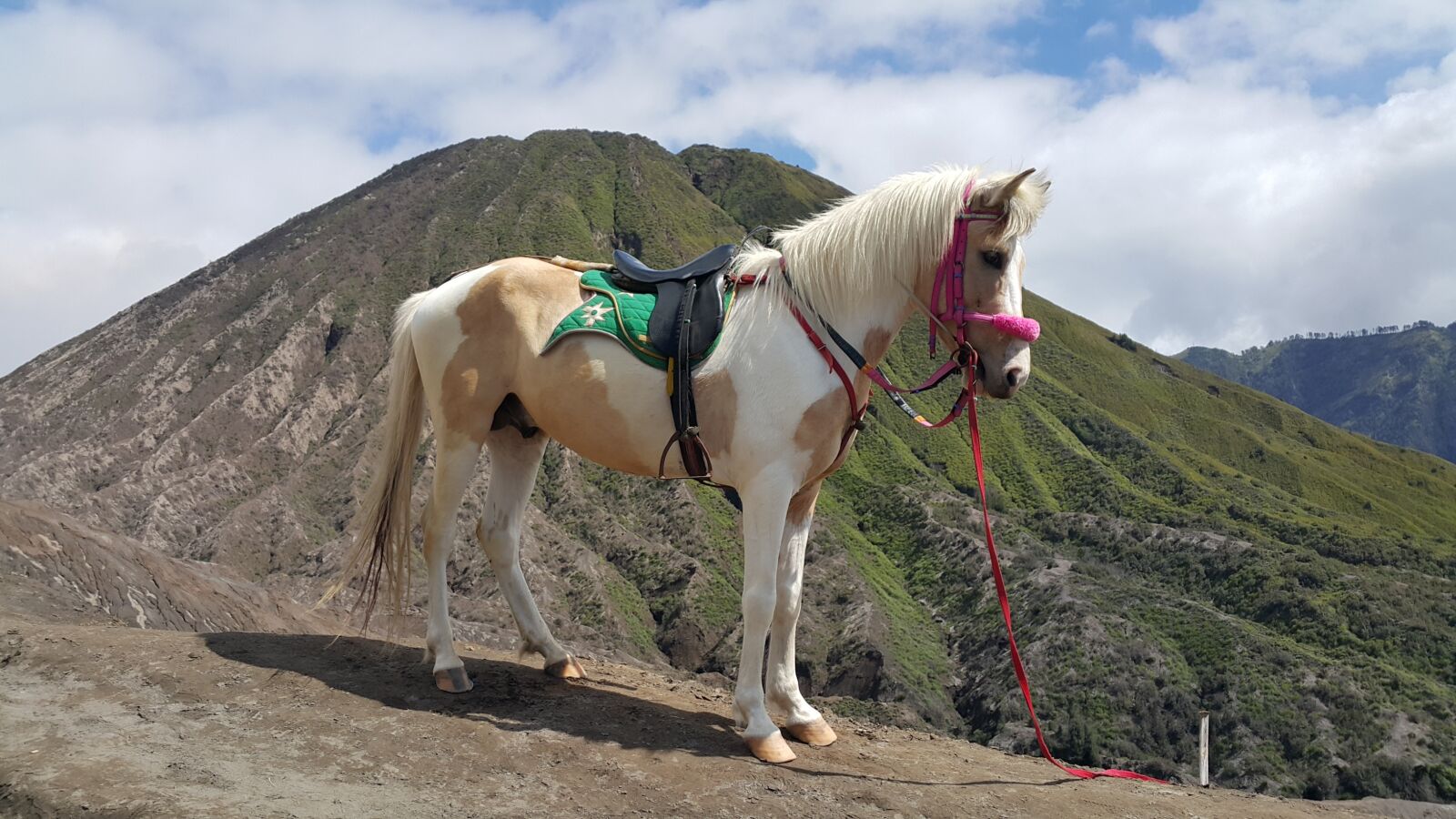 Samsung Galaxy Note4 sample photo. Mountain, bromo, indonesia photography