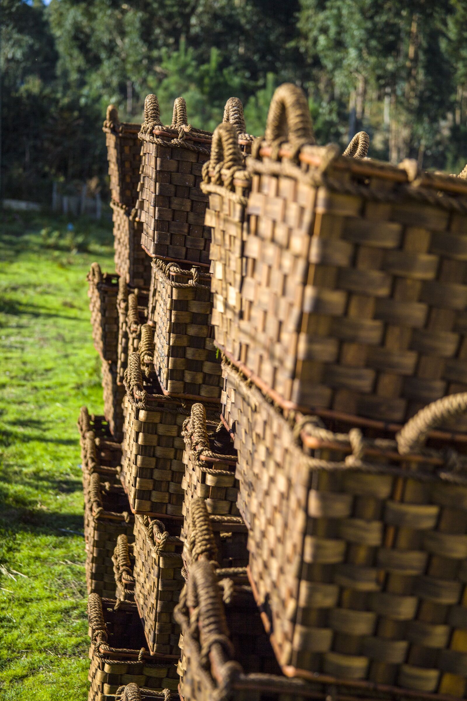 Canon EF 28-135mm F3.5-5.6 IS USM sample photo. Baskets, crafts, manual photography