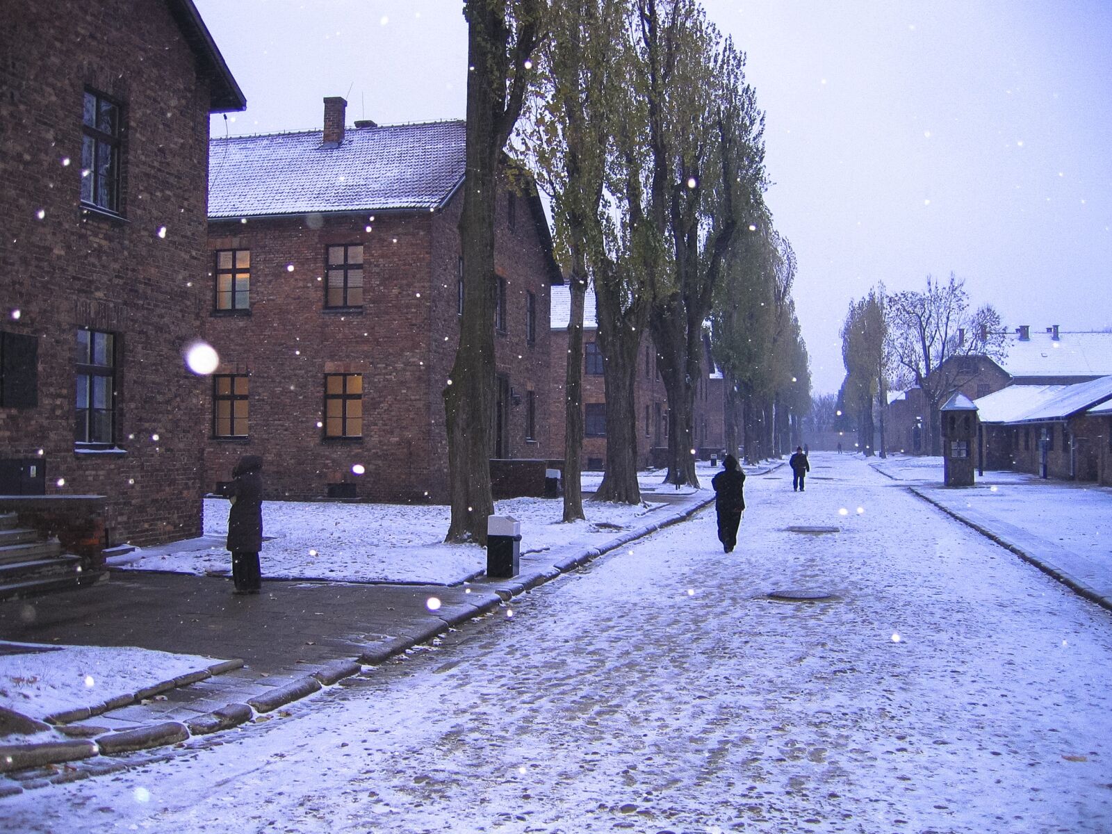 Canon POWERSHOT S50 sample photo. Auschwitz, snow, winter photography