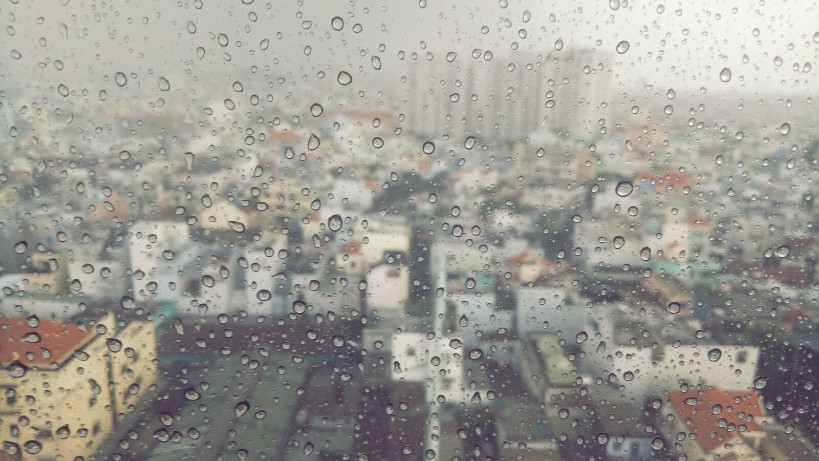 OPPO A1601 sample photo. Rain, rainy, weather photography