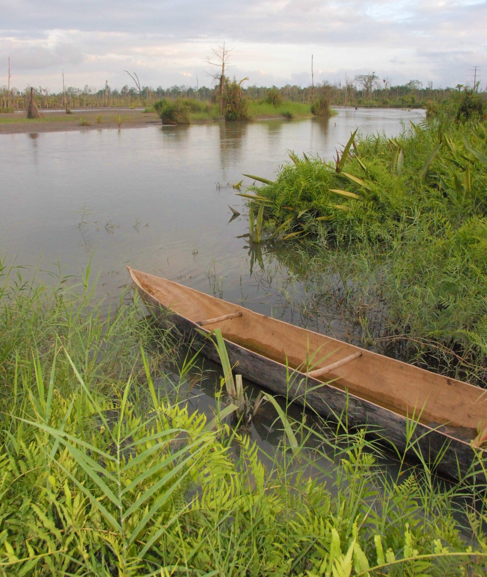 Nikon D200 sample photo. Jungle, canoe, river photography