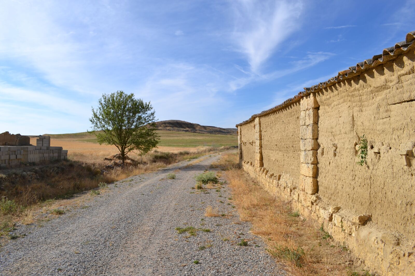Nikon D3100 sample photo. Tamara, path, earth photography