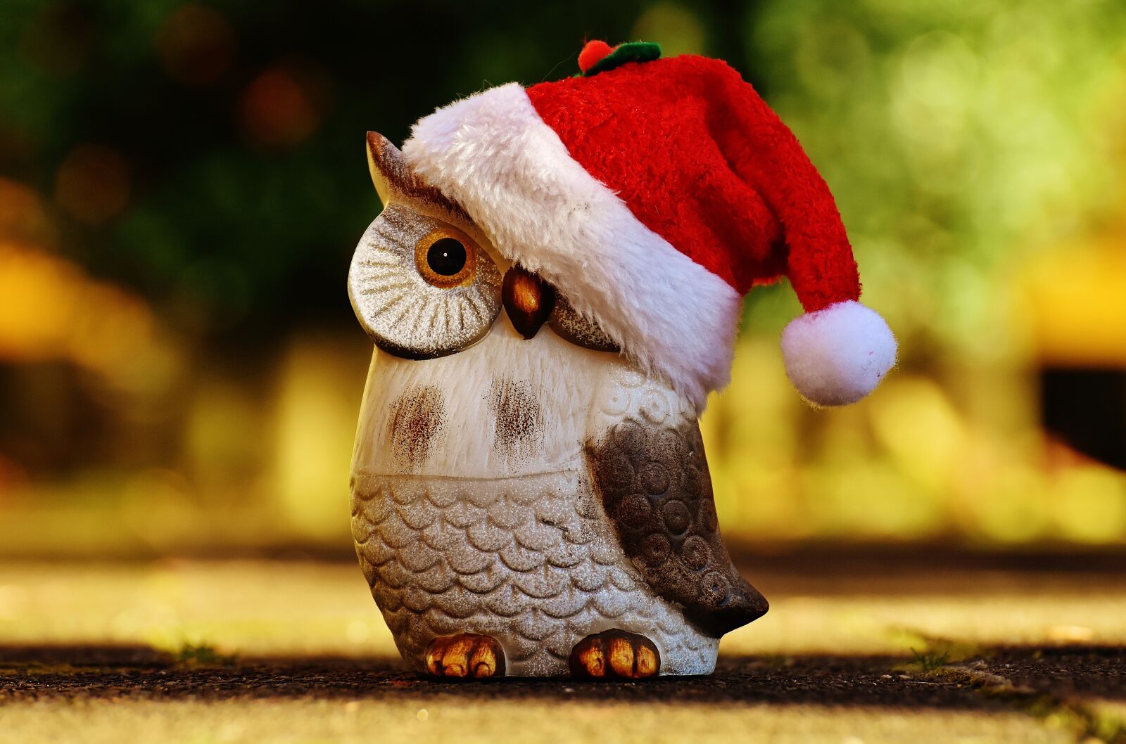 Nikon D7200 sample photo. Christmas, owl, santa hat photography