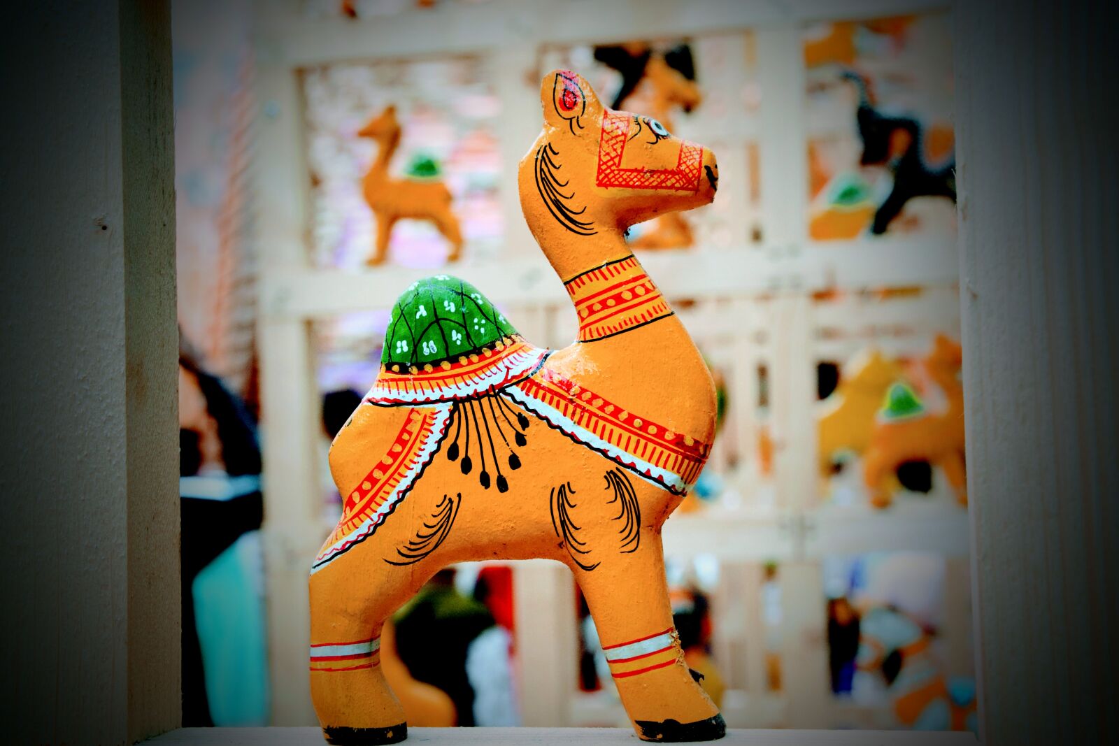Nikon D5200 sample photo. Be, focused, camel, in photography