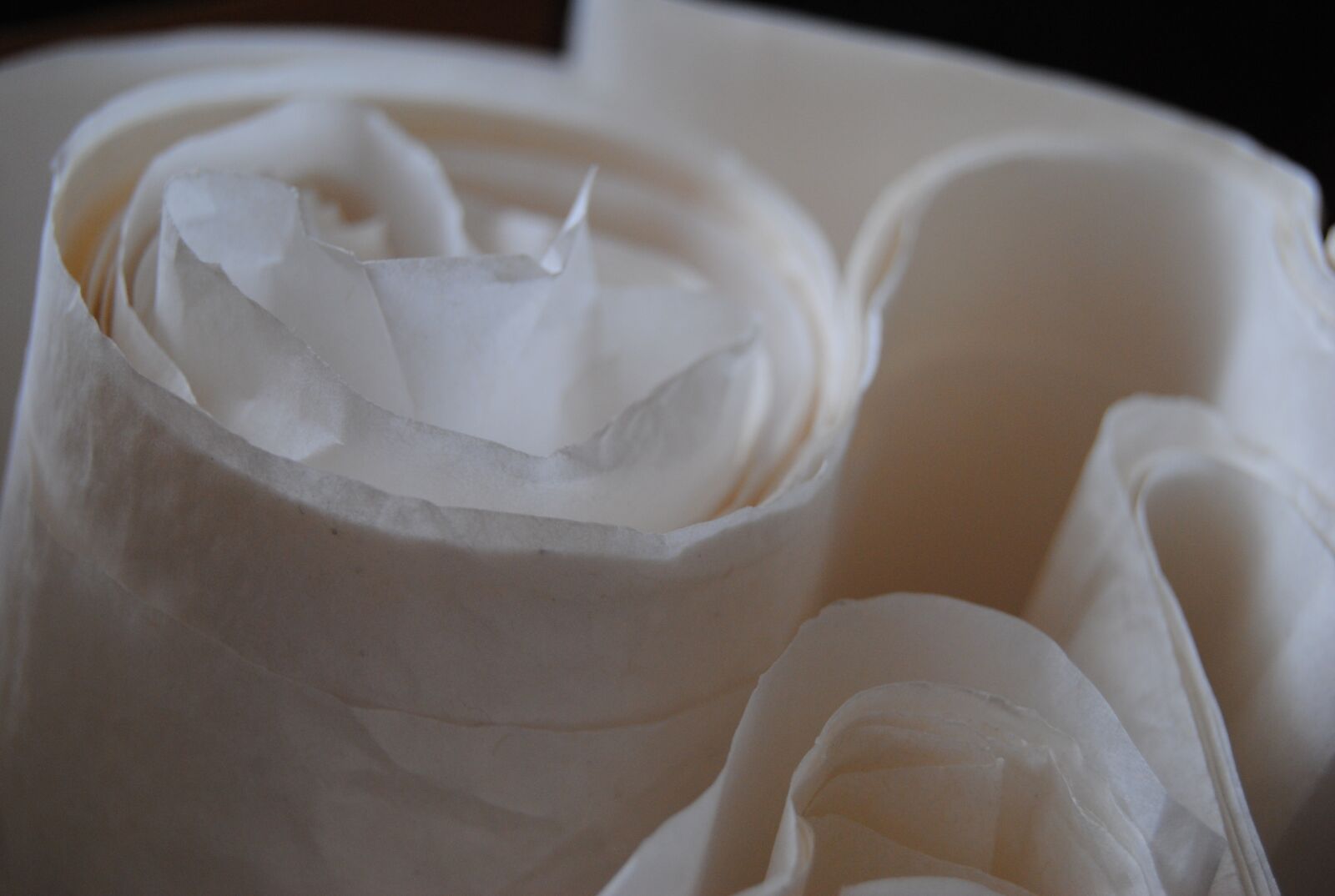 Nikon D3000 sample photo. Paper, parchment, the background photography