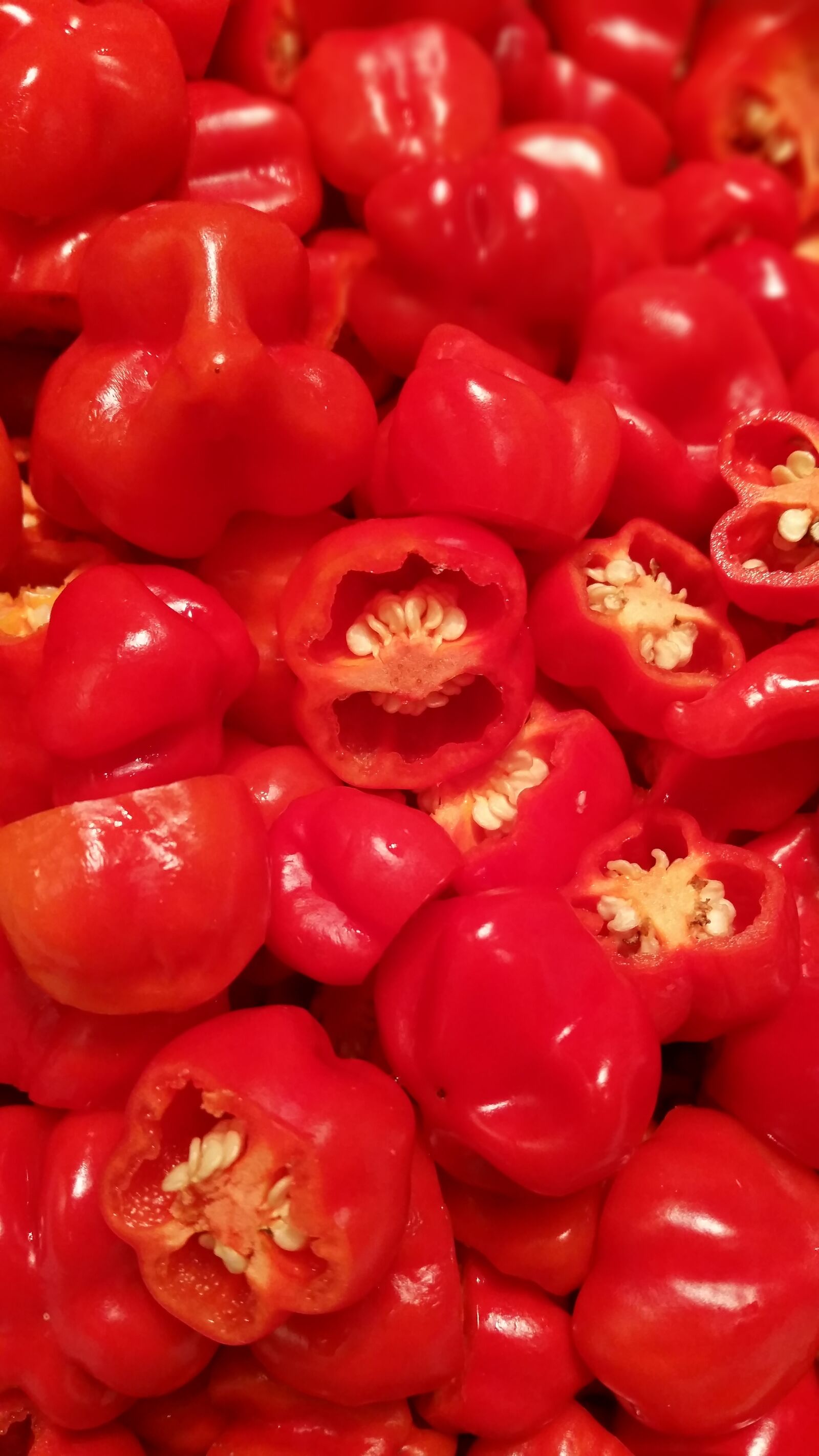Samsung Galaxy S5 sample photo. Red, peppers, portrait photography