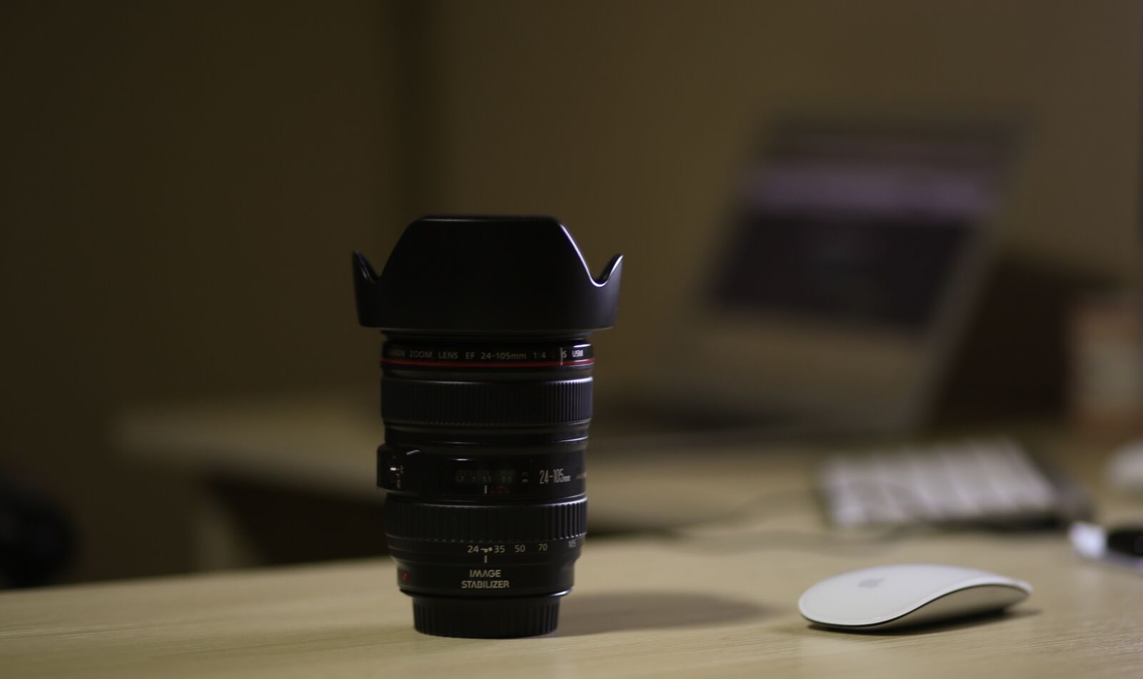 Canon EF 85mm F1.8 USM sample photo. Canon, lens, camera photography