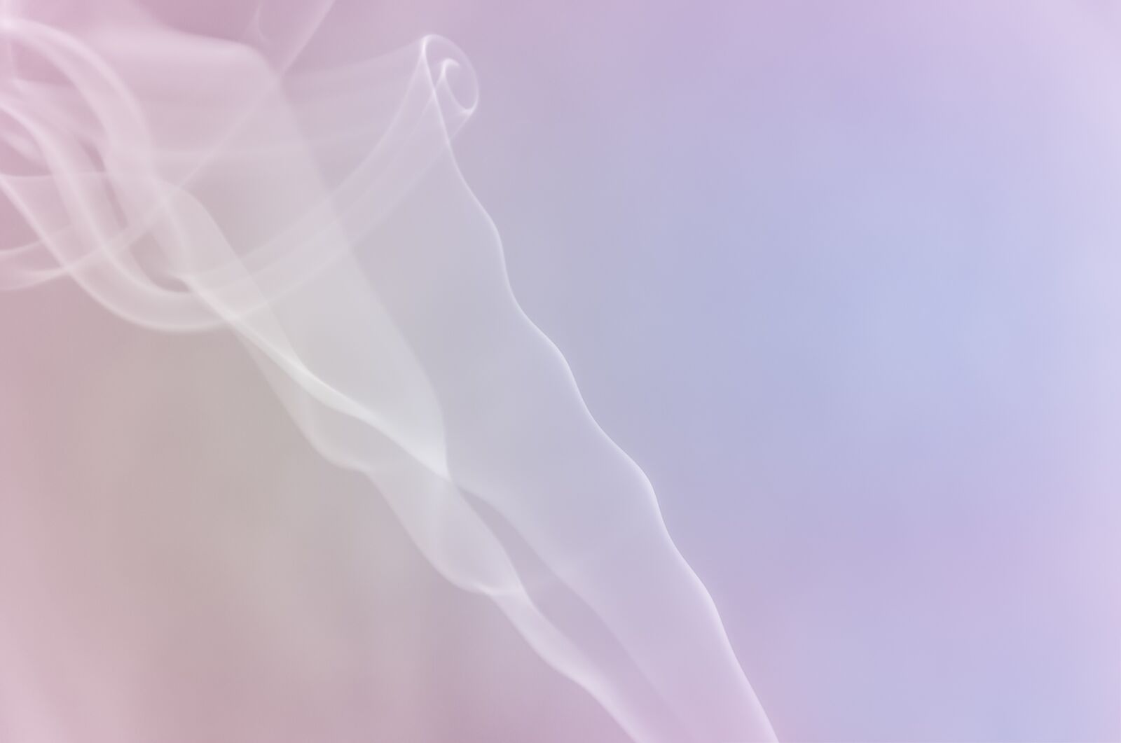Sony SLT-A58 sample photo. Abstract, background, color photography