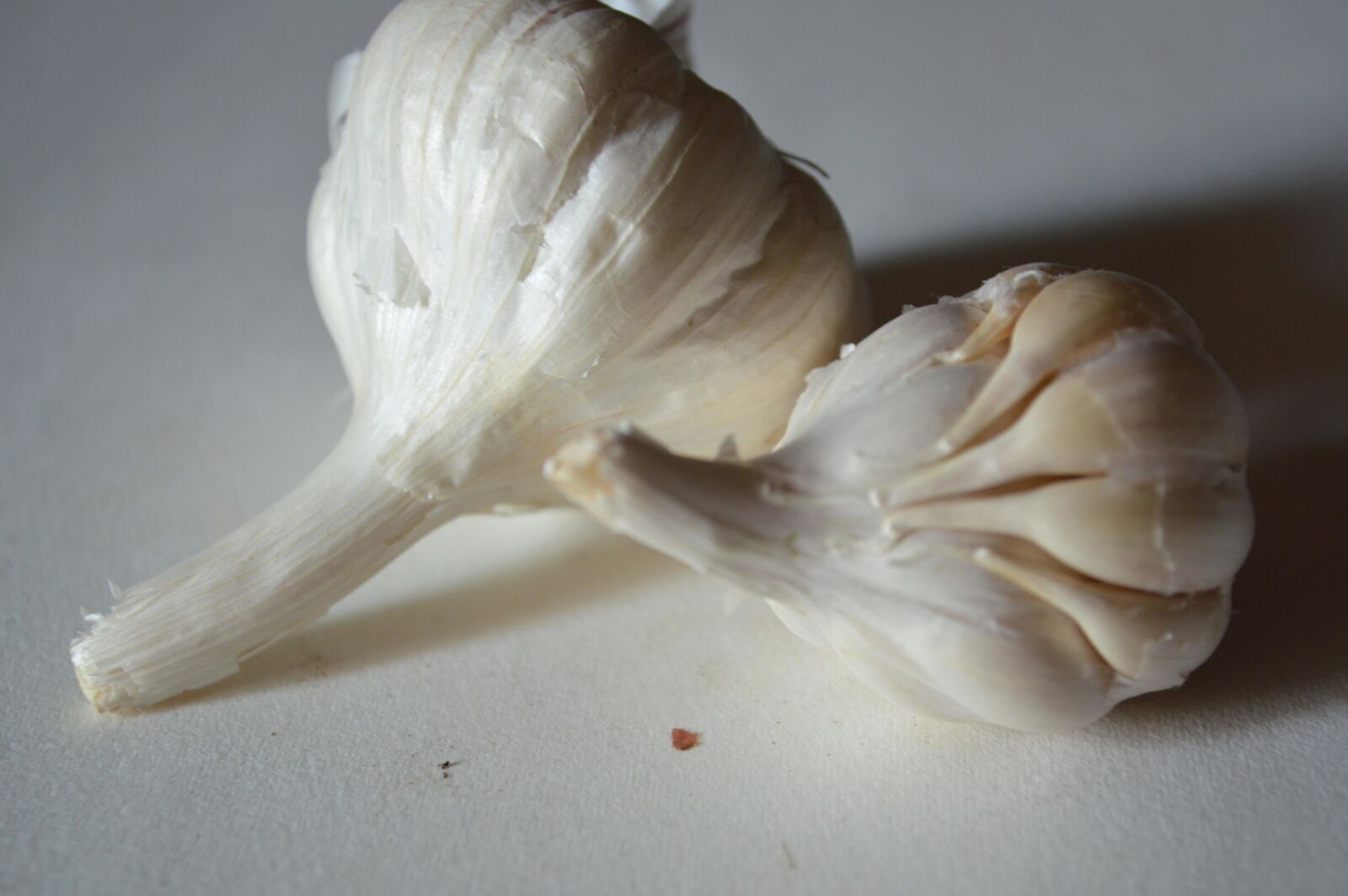 Nikon D3200 sample photo. Fresh, vegetable photography