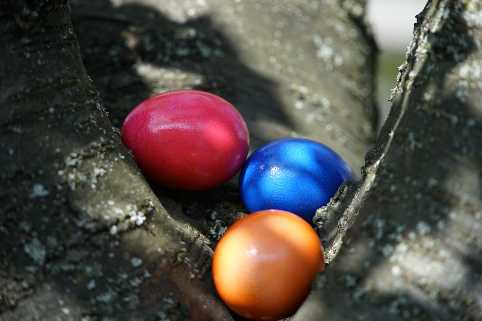 Sony a7R II + Sony E PZ 18-105mm F4 G OSS sample photo. Hidden, easter, eggs photography