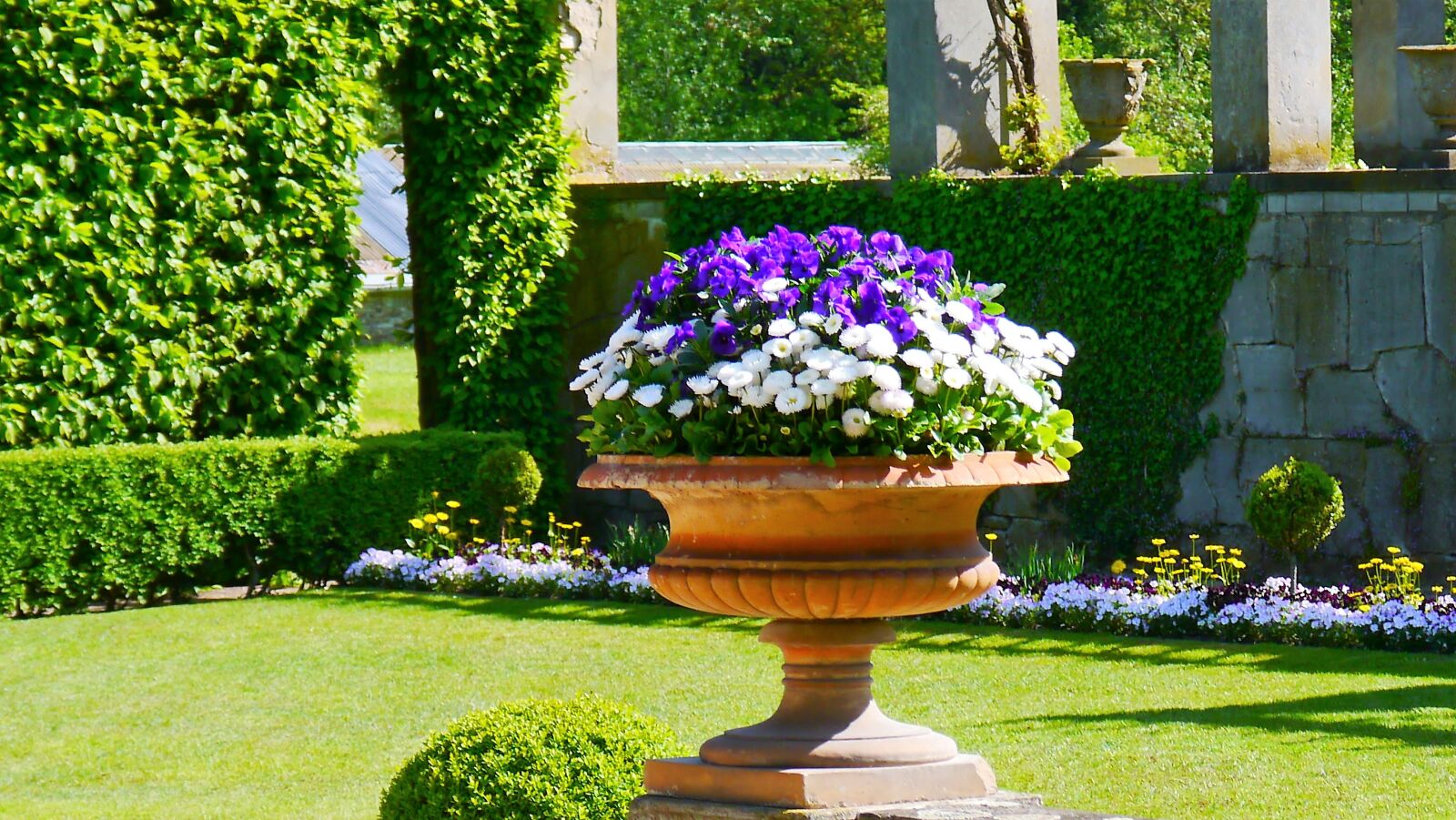 Panasonic Lumix DMC-G3 sample photo. Flowers, shell, decoration photography