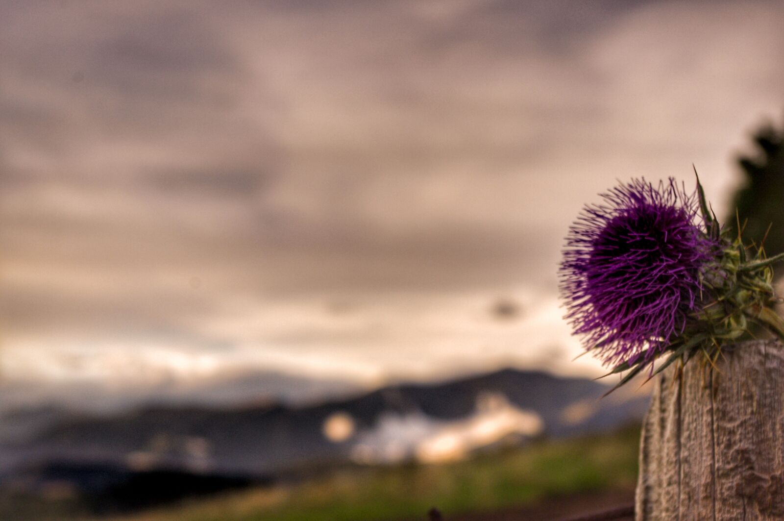 Pentax K-r sample photo. Nature, sunset, pyrenees photography