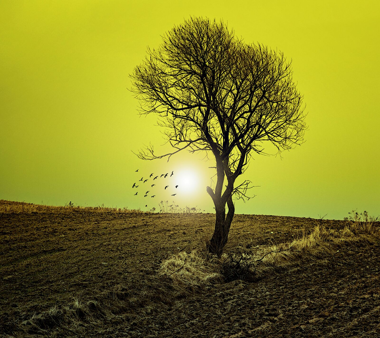 Nikon D90 sample photo. Nature, sun, field photography