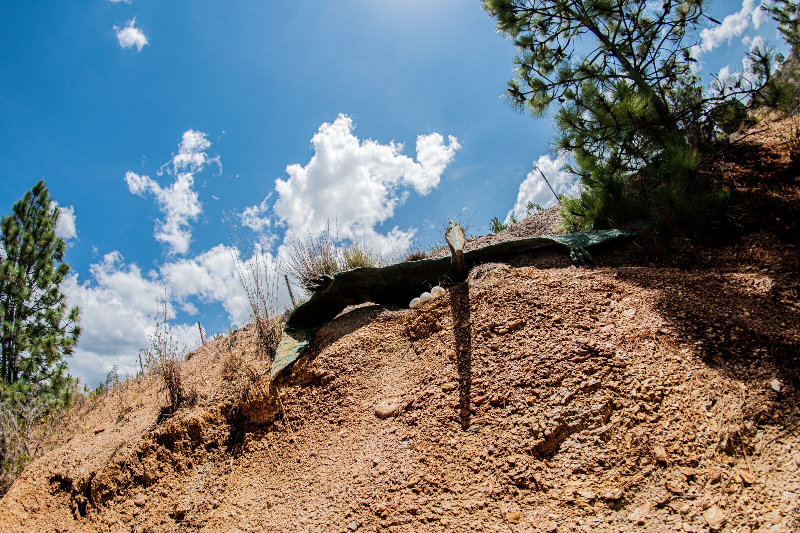 Nikon D5600 sample photo. Gondava, park, dinosaurs photography