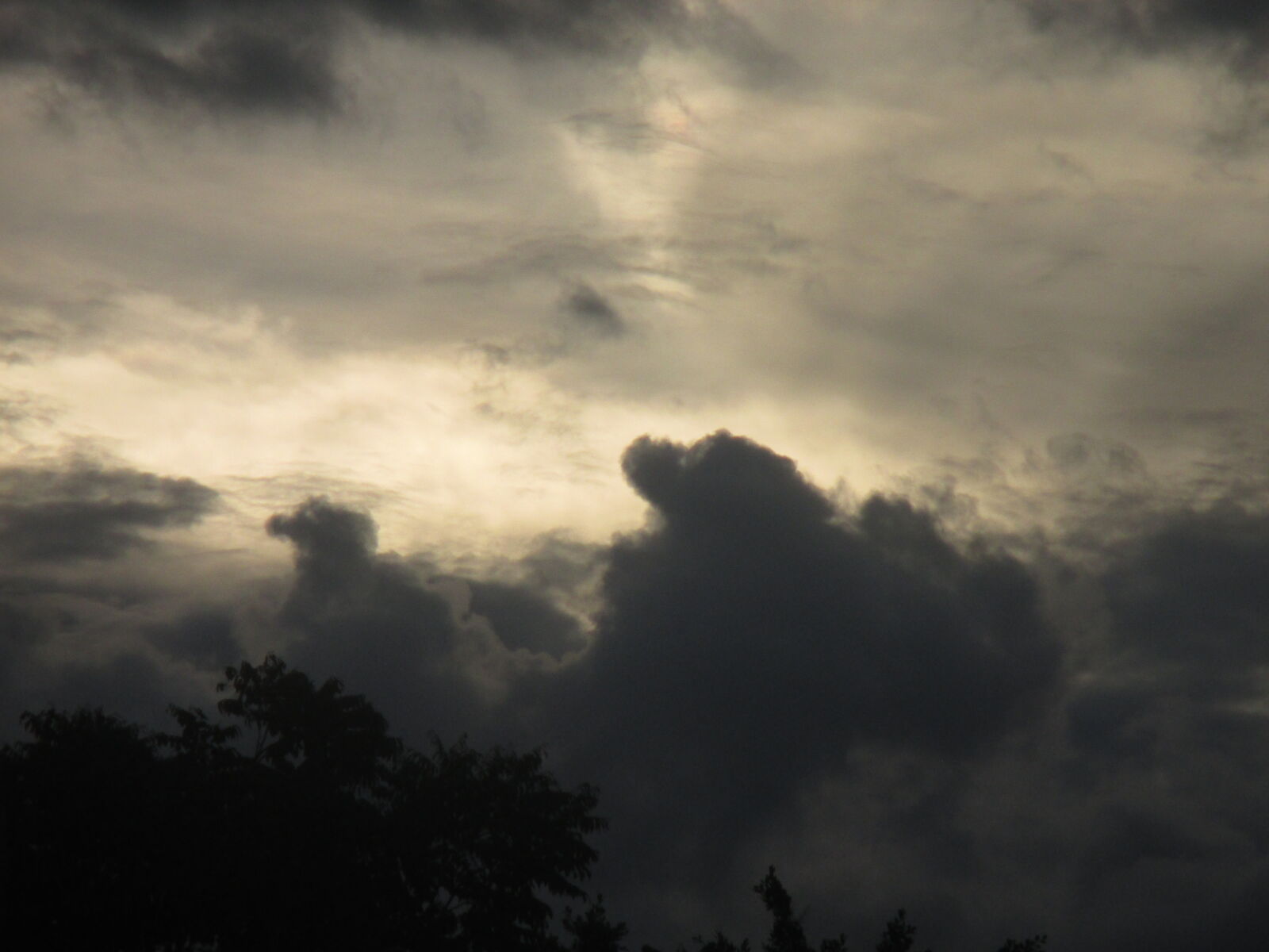 Canon PowerShot ELPH 130 IS (IXUS 140 / IXY 110F) sample photo