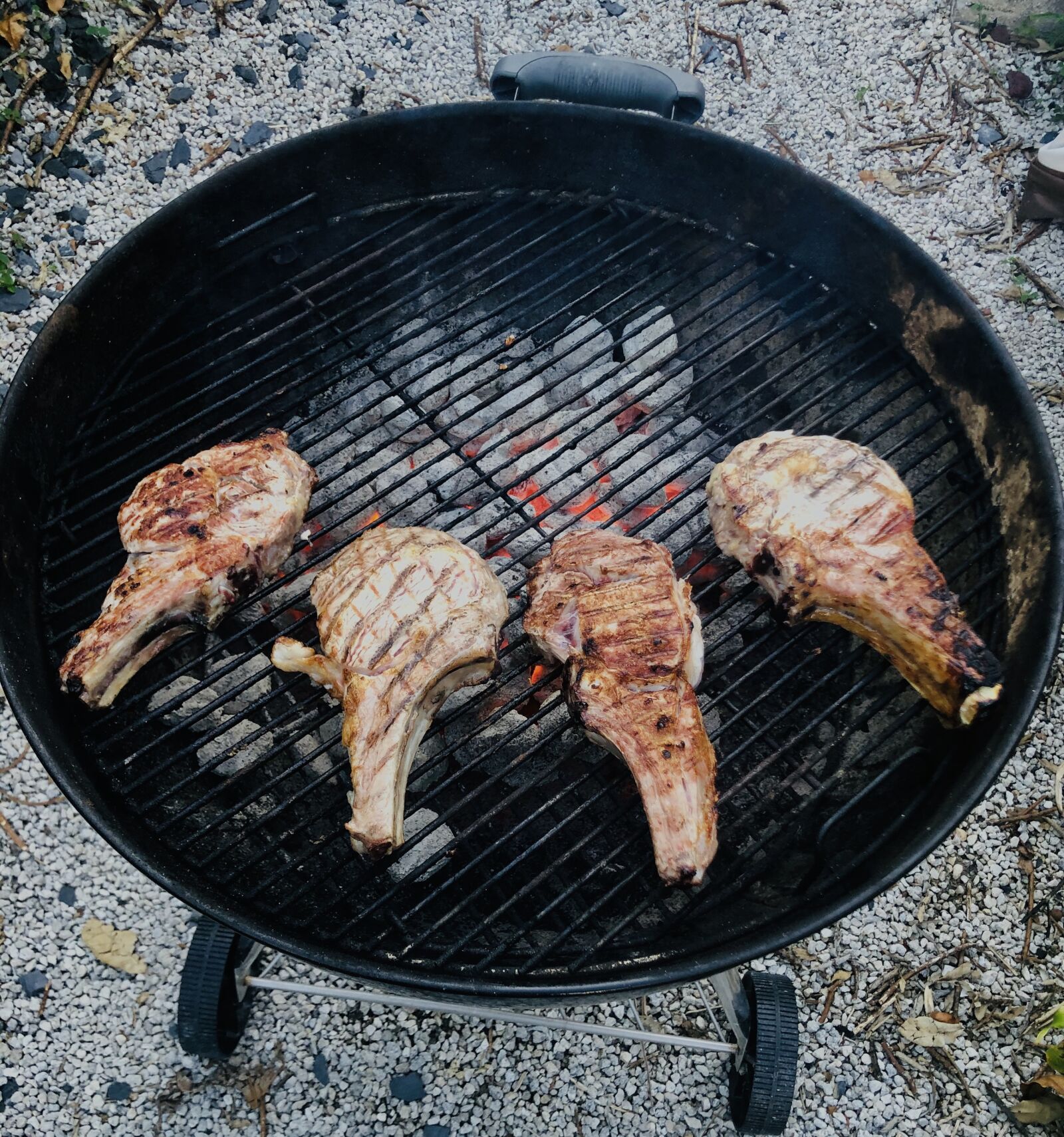 Apple iPhone 8 Plus sample photo. Grilling, cookout, charcoal photography