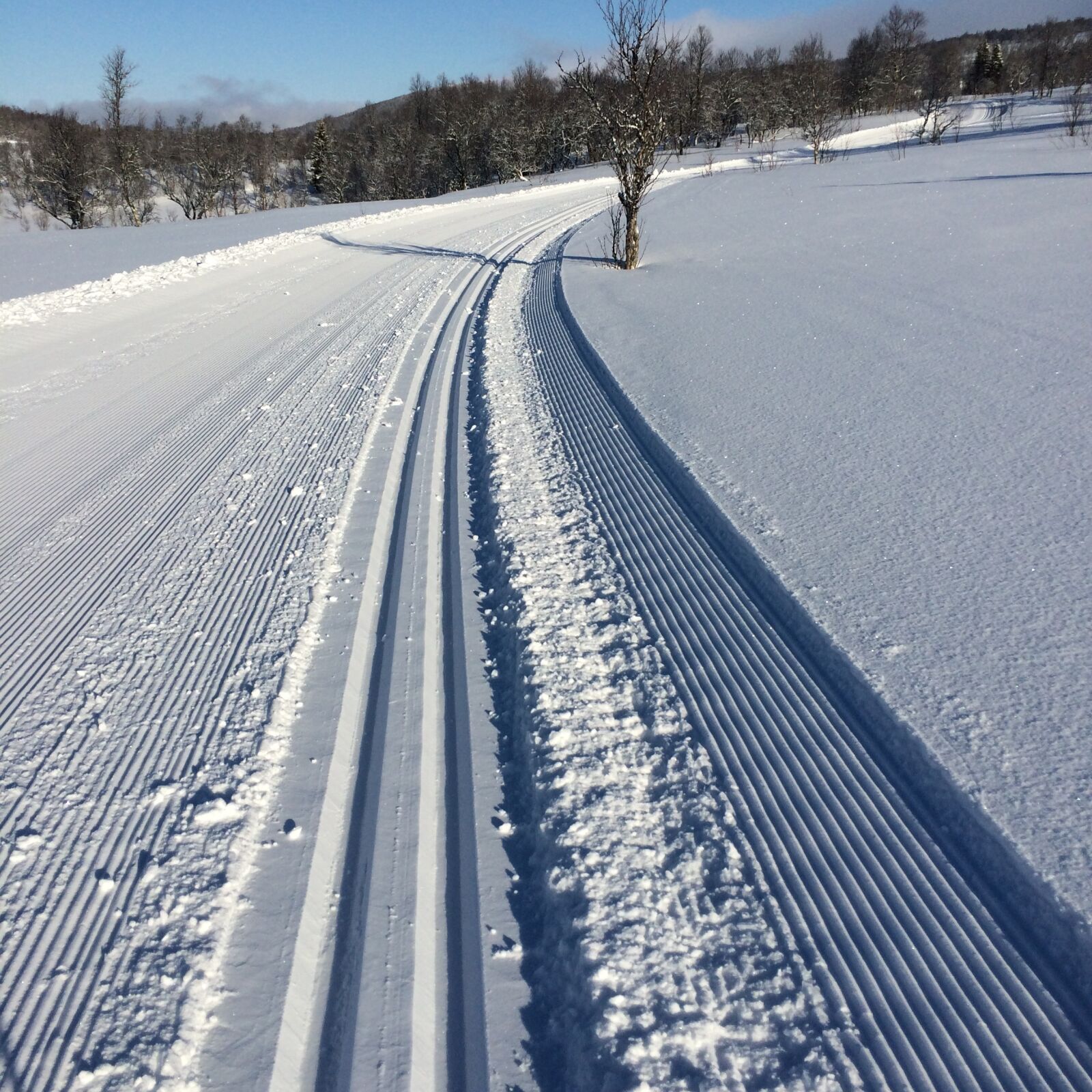 iPhone 5s back camera 4.15mm f/2.2 sample photo. Vinterspår, snow, scooter photography