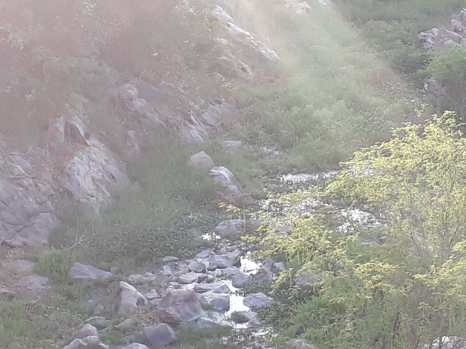 Samsung Galaxy J7 Prime sample photo. Ipanema river, garden, sunlight photography