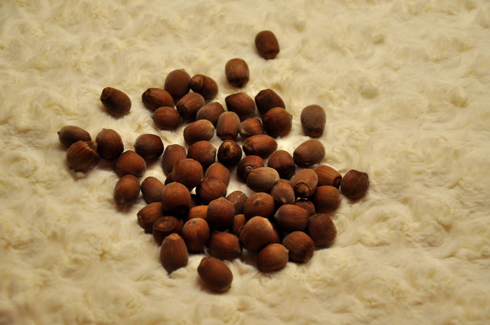 Nikon D90 sample photo. Nuts, a bunch of photography