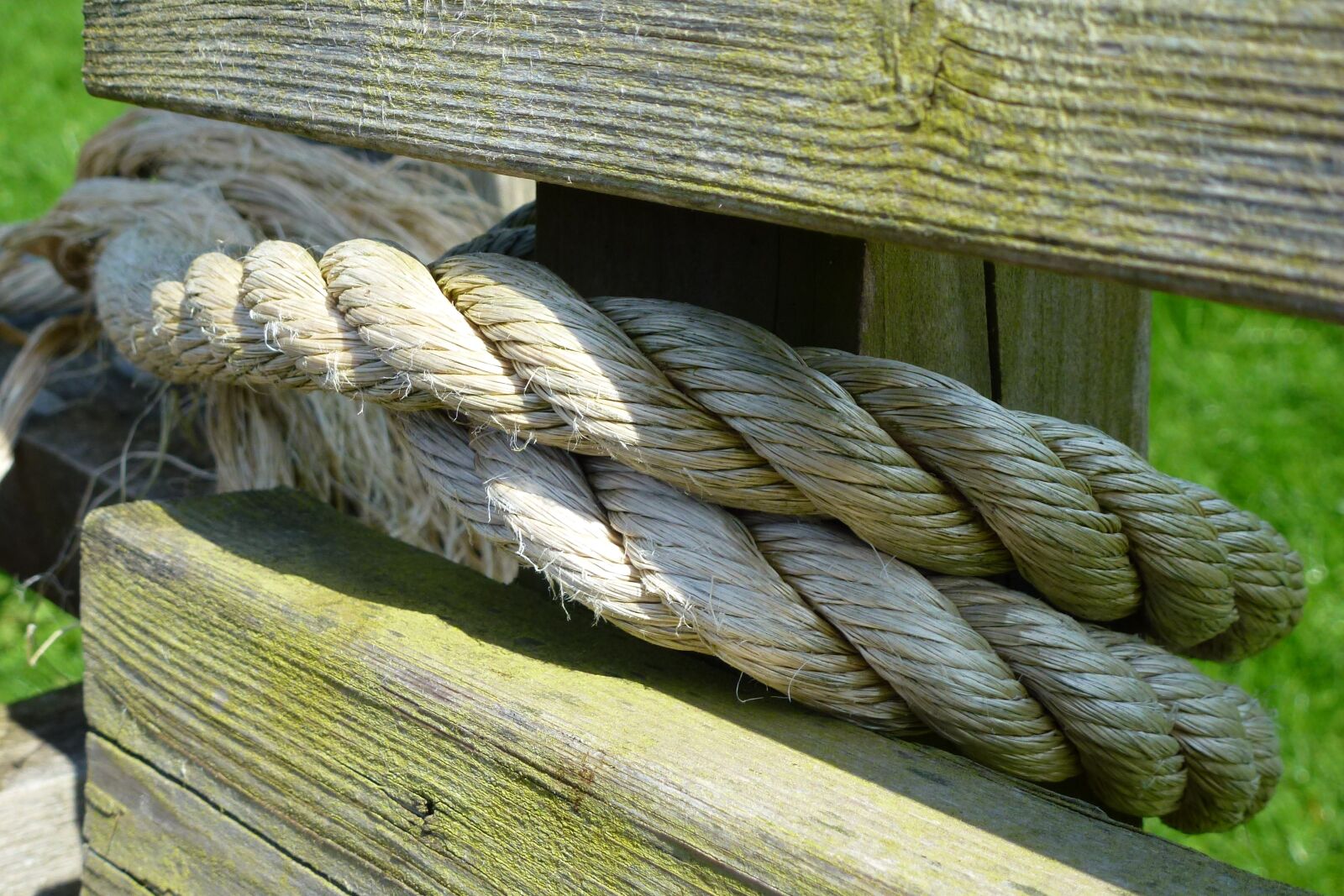 Panasonic Lumix DMC-ZS10 (Lumix DMC-TZ20 / Lumix DMC-TZ22) sample photo. Tied, rope, bench photography