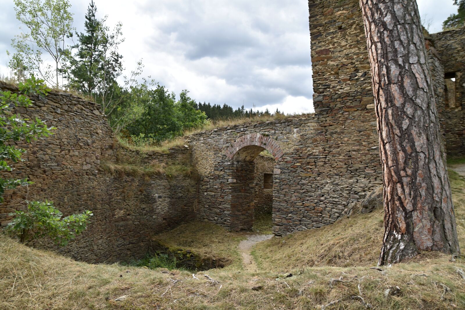 Nikon D3500 sample photo. Castle, rock, forest photography