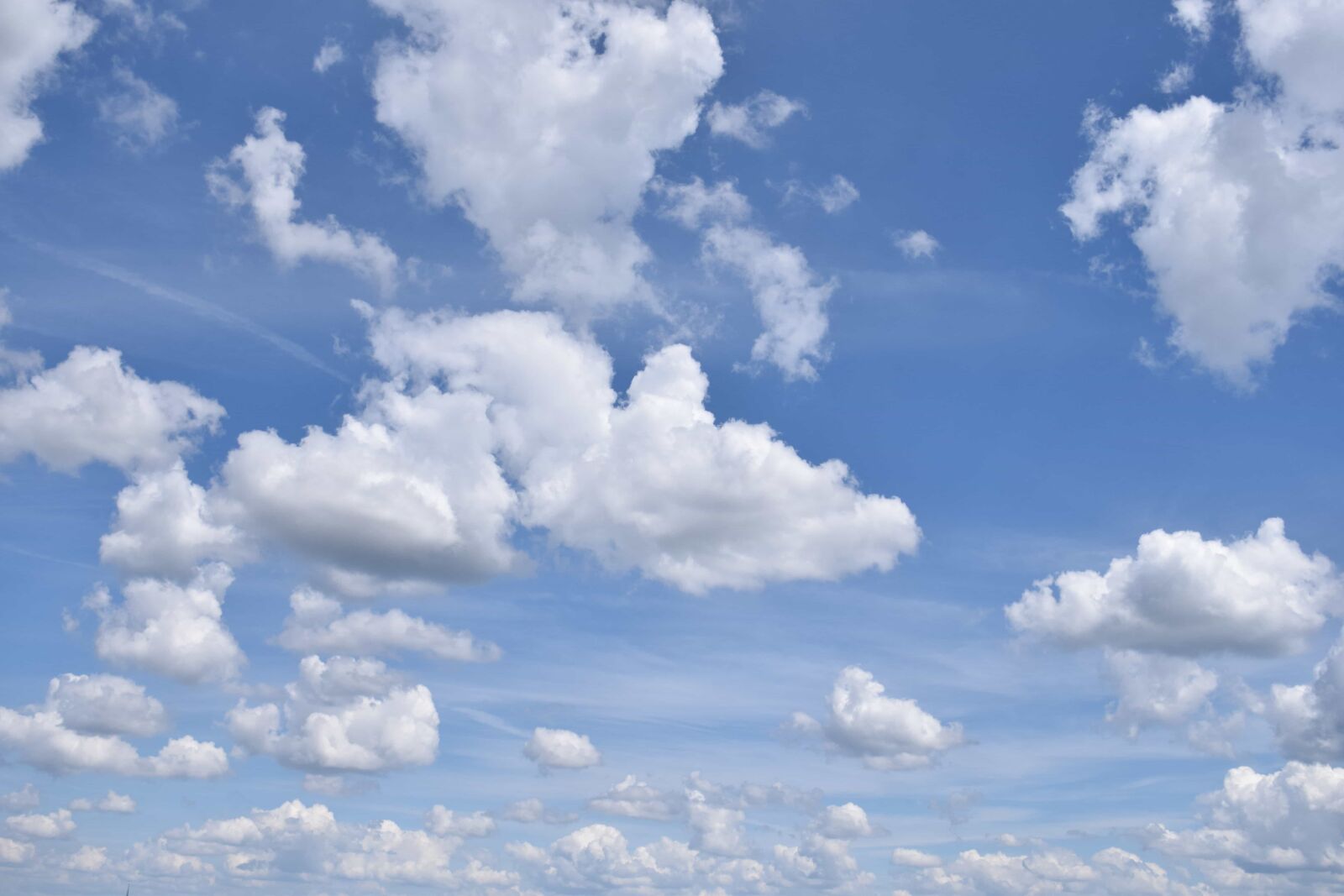 Nikon D3300 sample photo. Summer, heaven, sun, sky photography