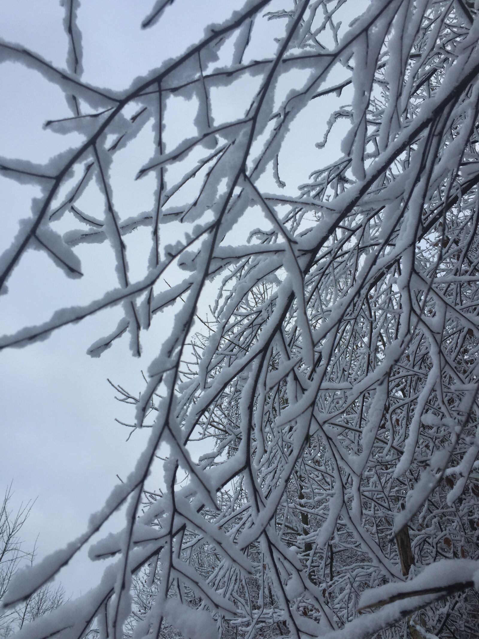 Apple iPhone 6 sample photo. Snow, ice, cold photography